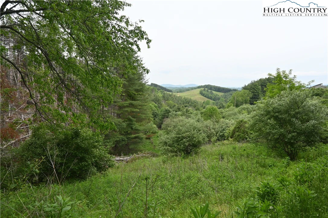 Image number 3 for the current listing