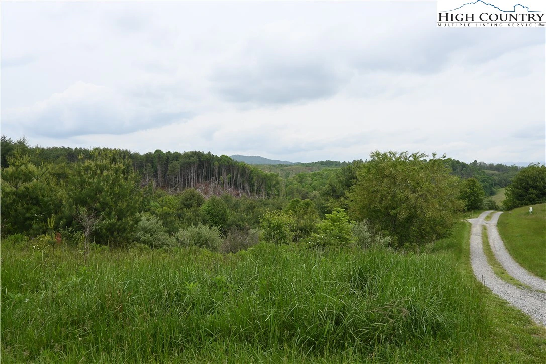 Image number 4 for the current listing