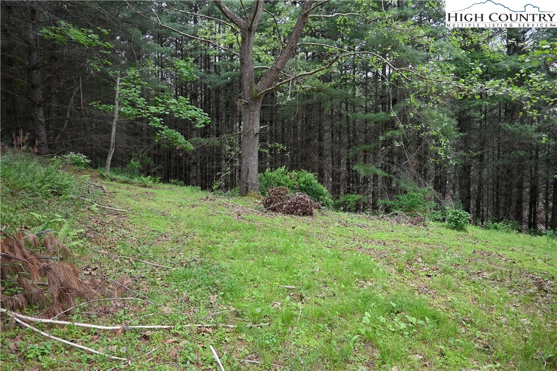 Image number 5 for the current listing