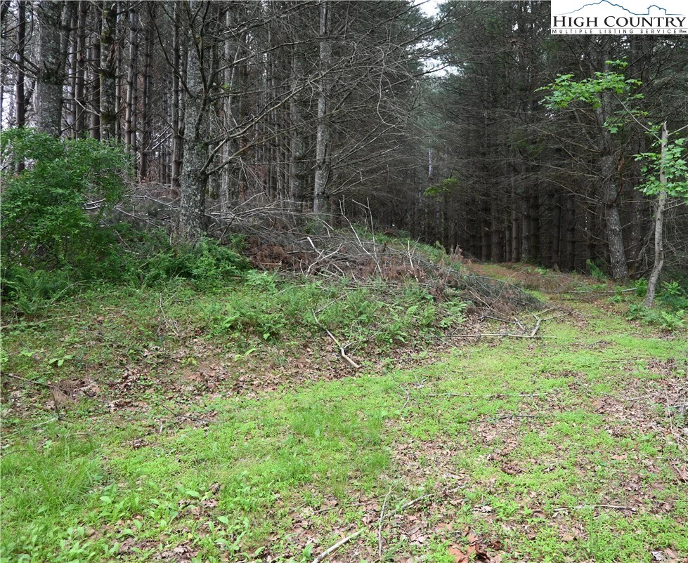 Image number 6 for the current listing