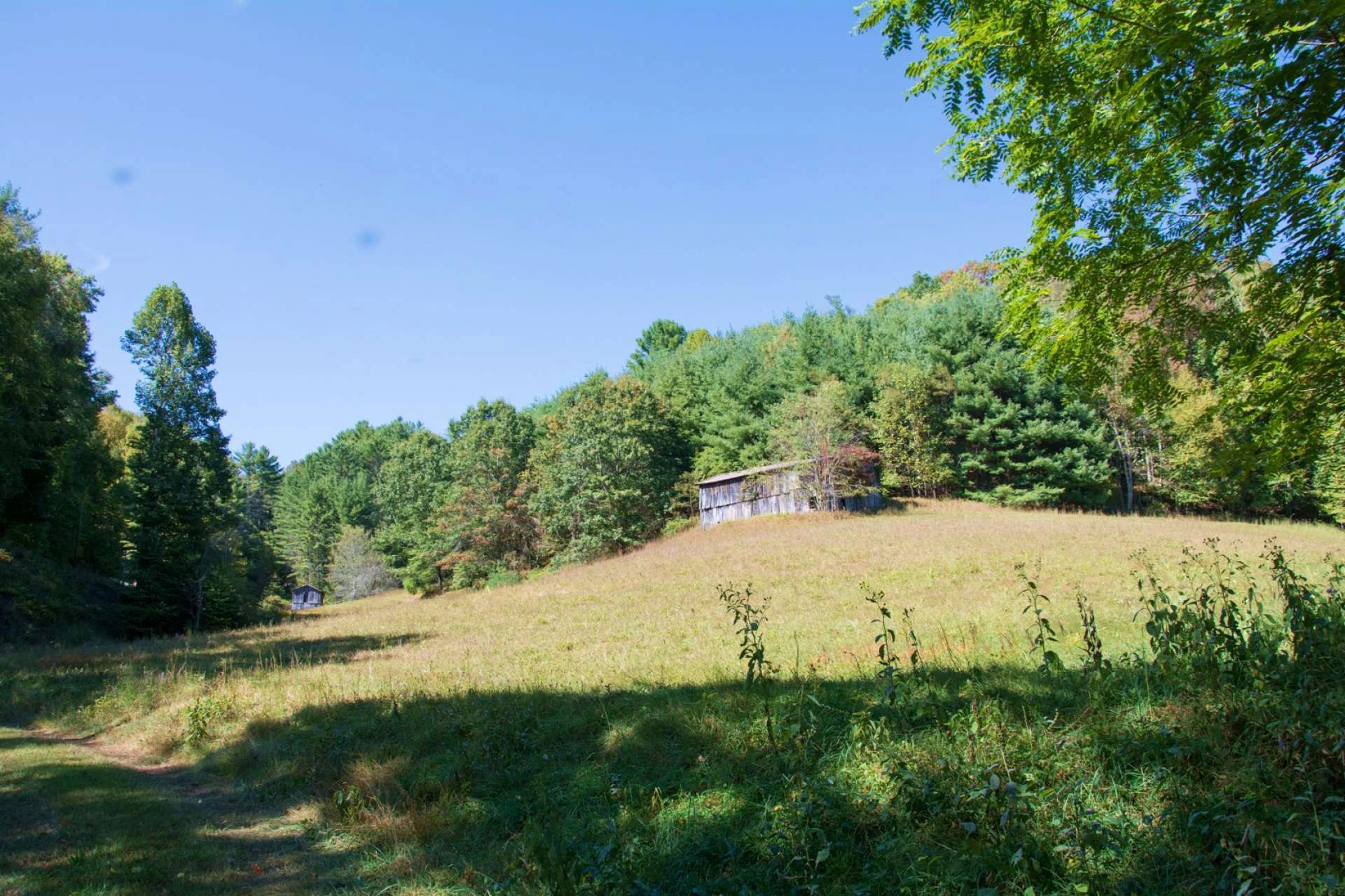 Image number 2 for the current listing