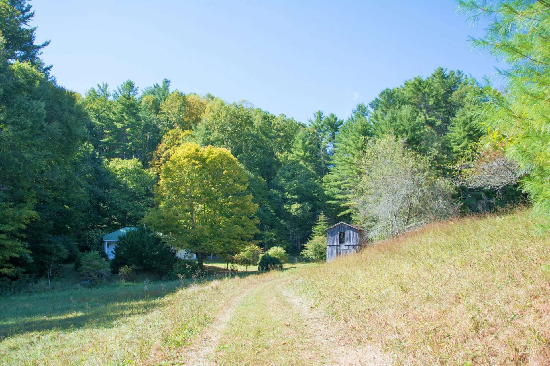 Image number 3 for the current listing