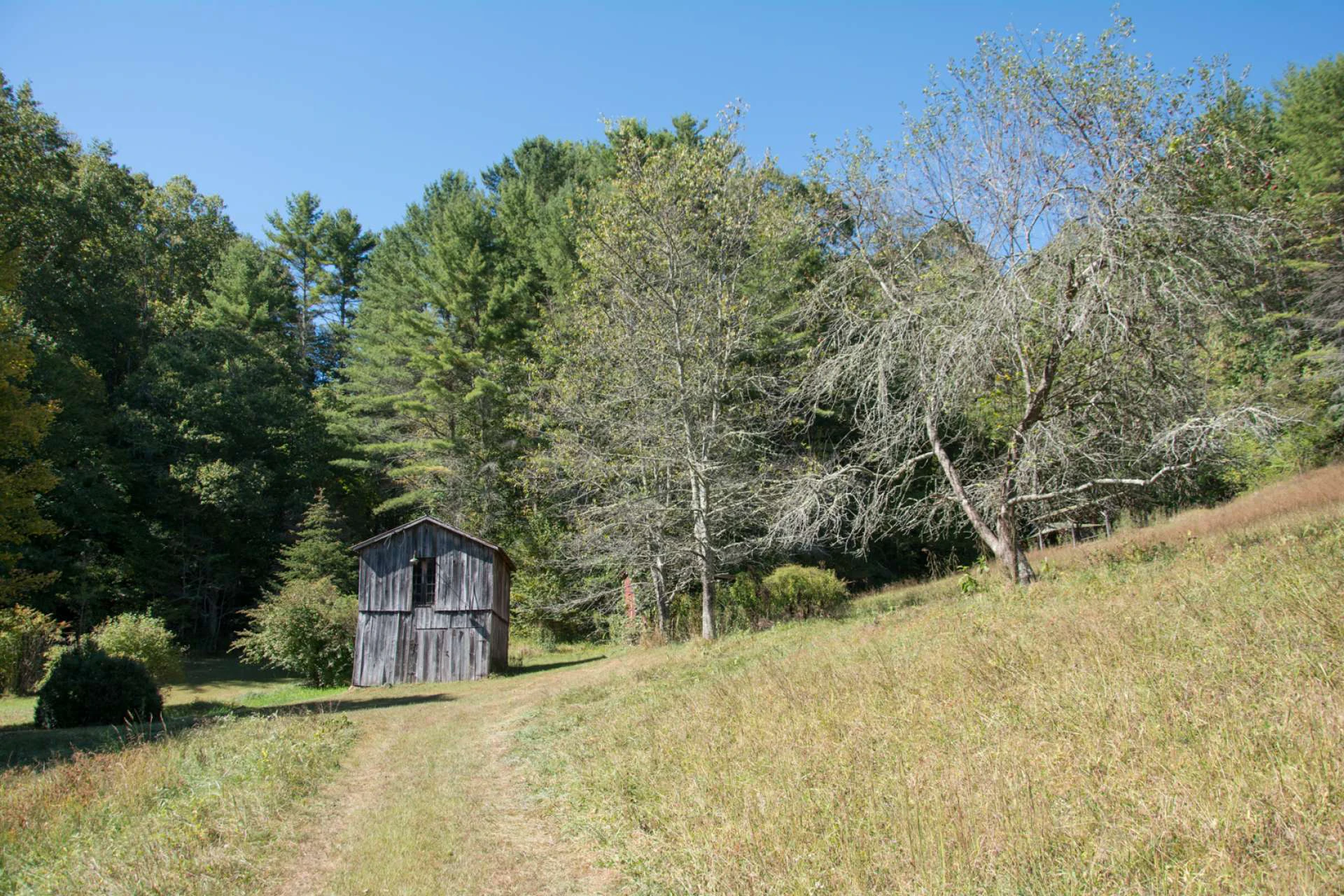 Image number 5 for the current listing