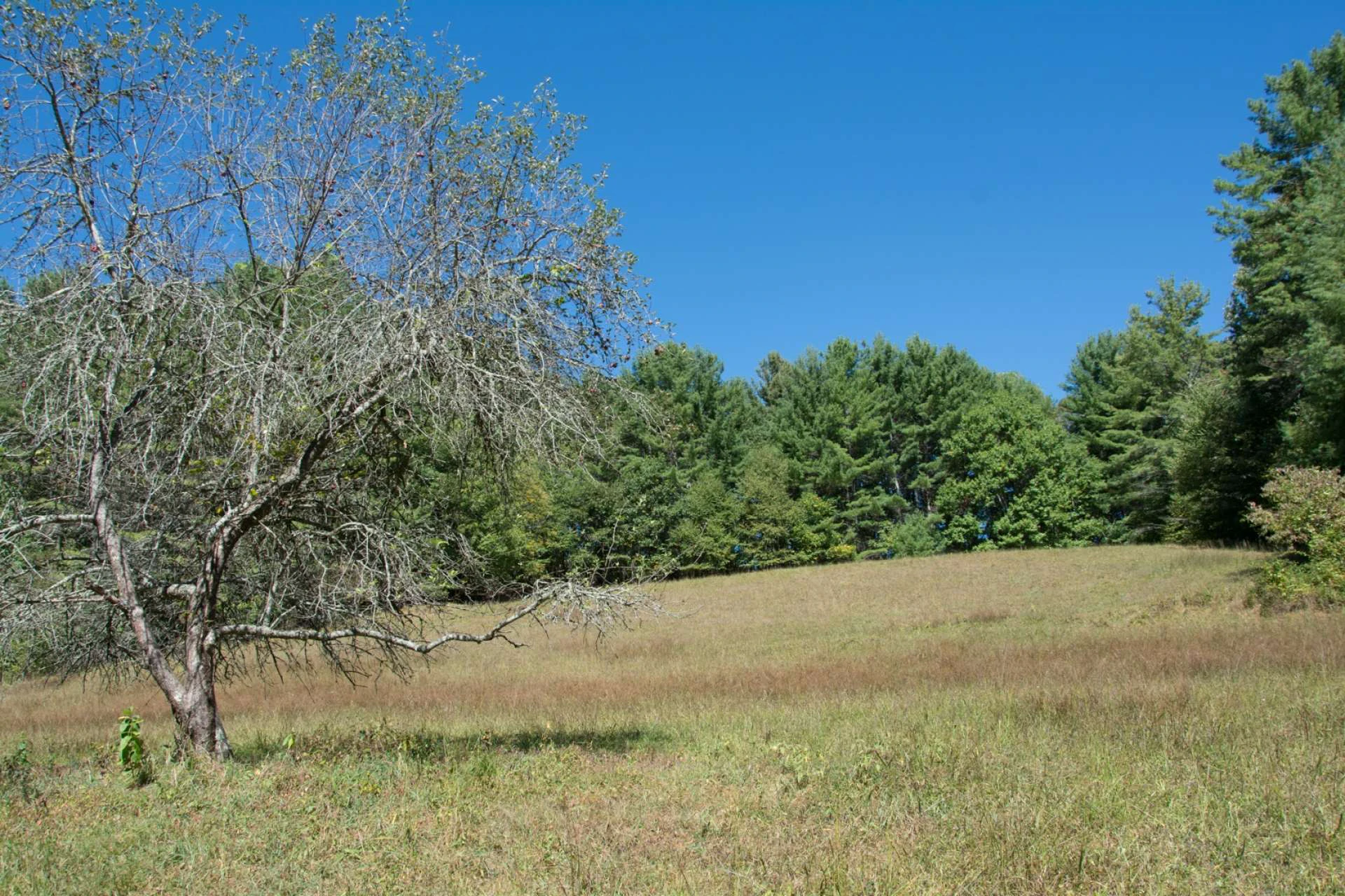 Image number 7 for the current listing