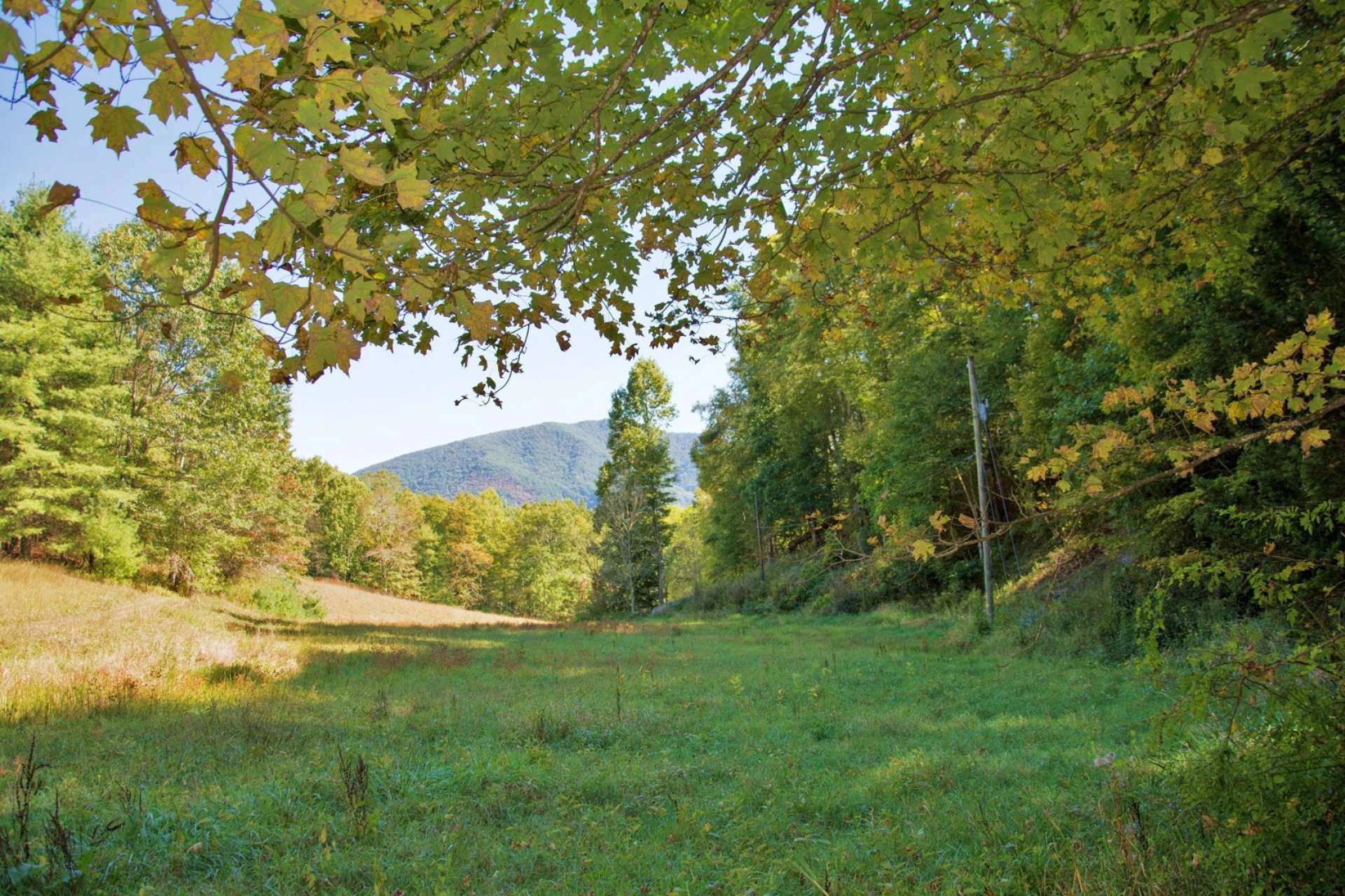 Image number 8 for the current listing