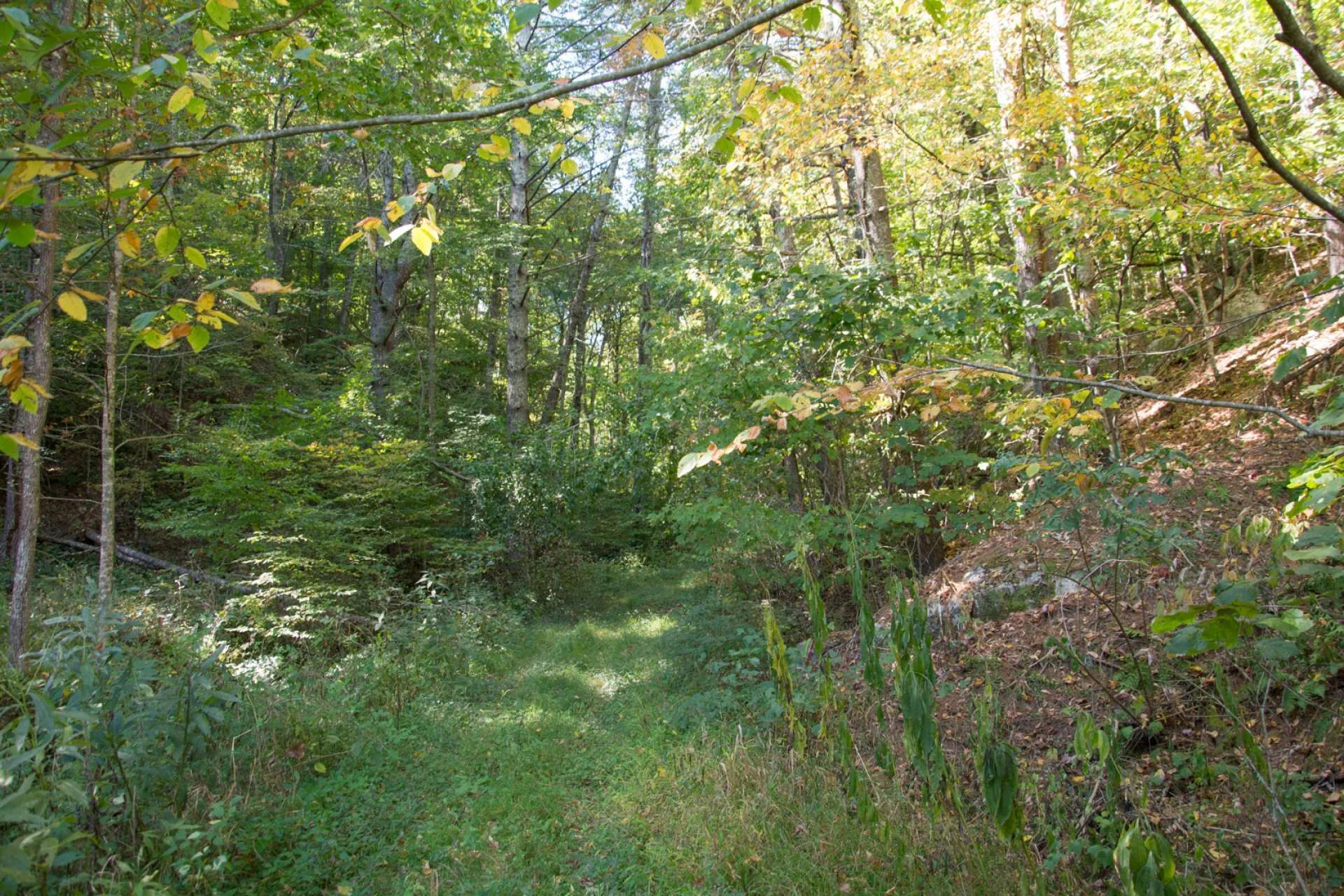 Image number 9 for the current listing