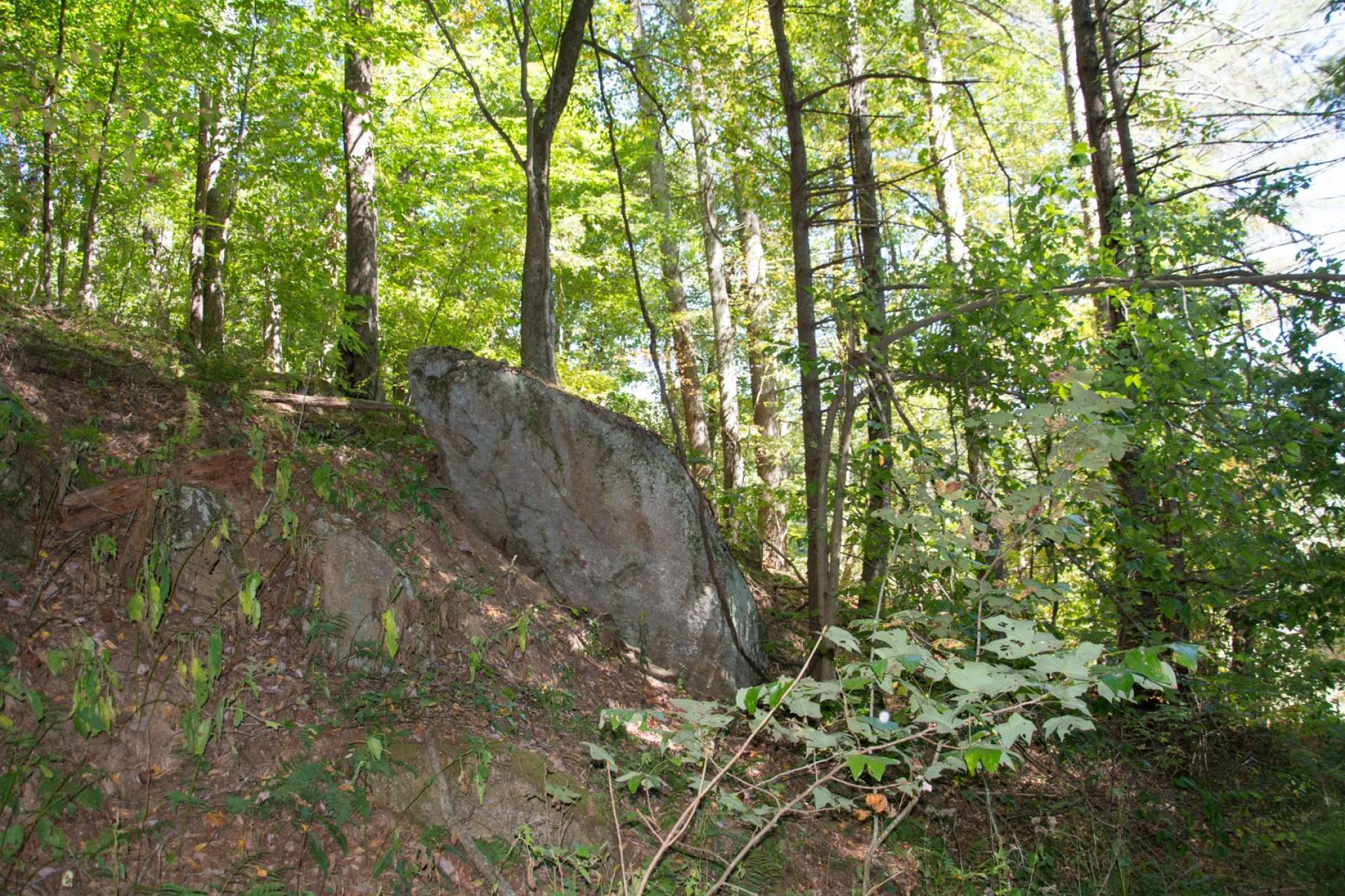Image number 11 for the current listing