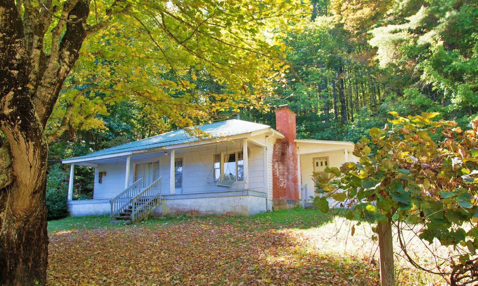 Image number 1 for the current listing