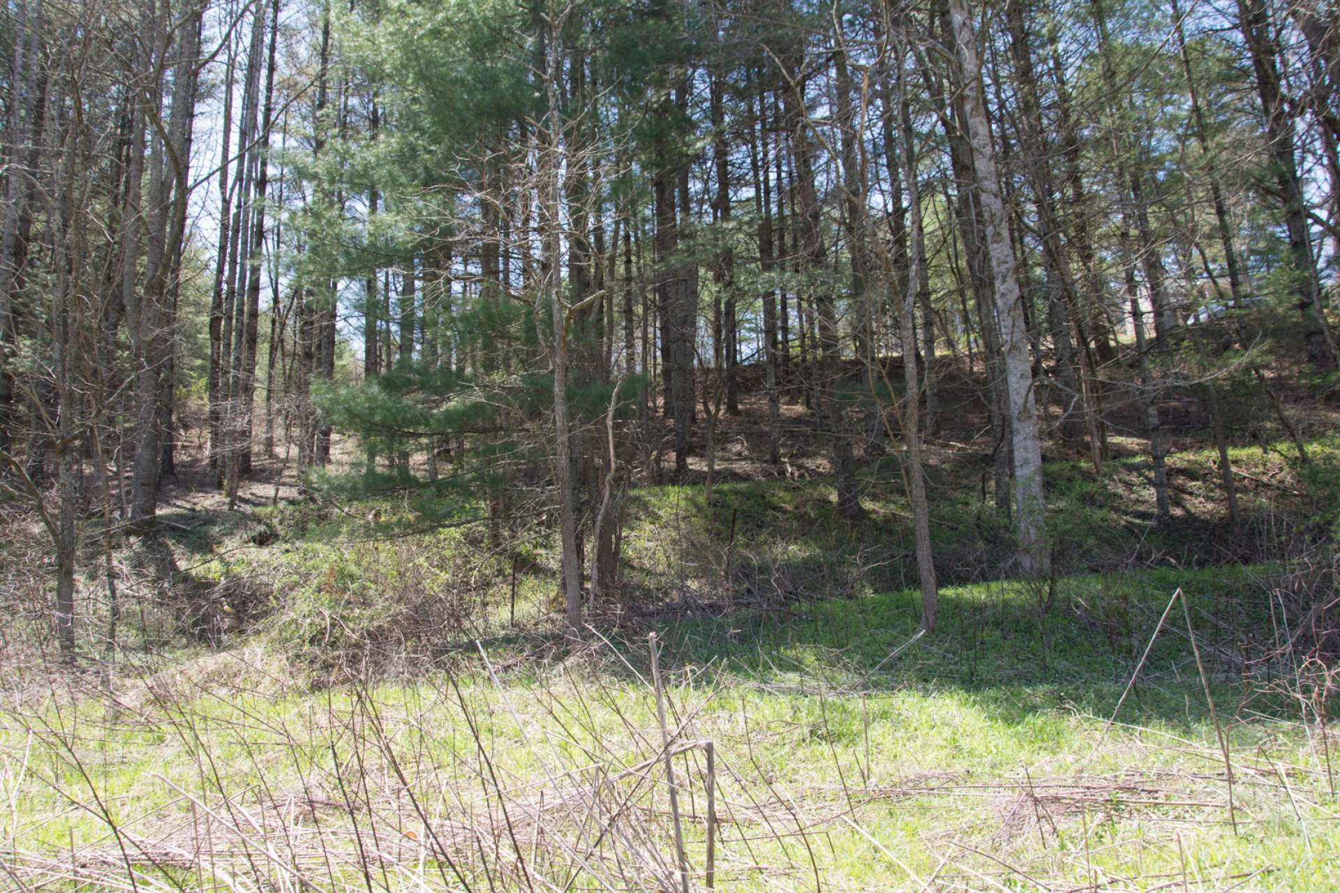 Image number 3 for the current listing