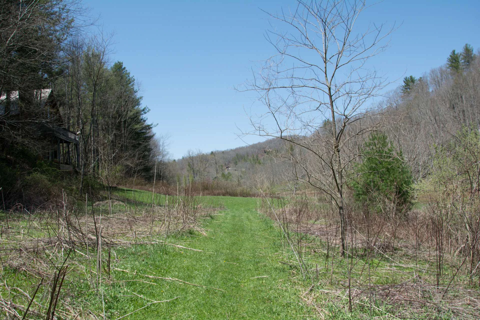 Image number 4 for the current listing