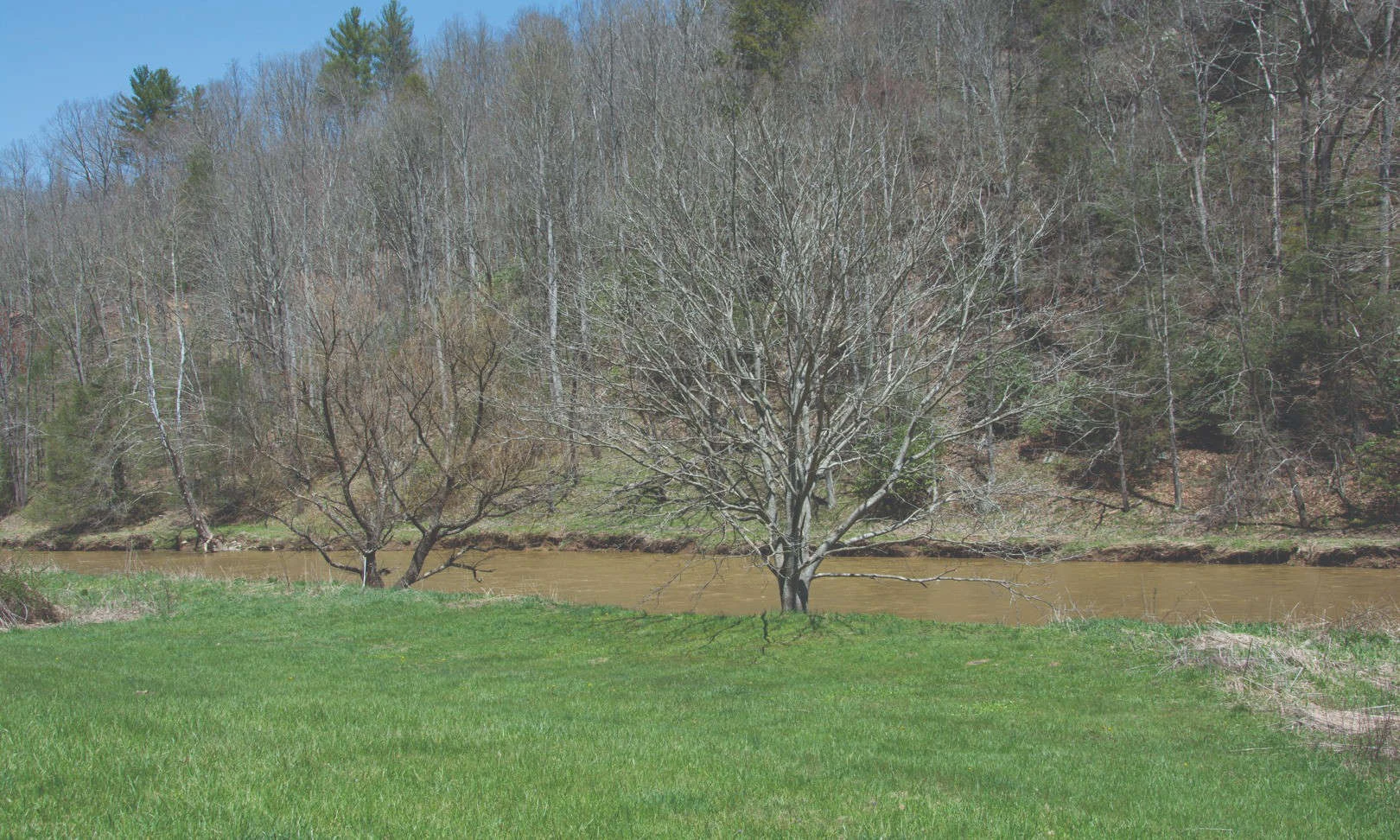 Image number 1 for the current listing