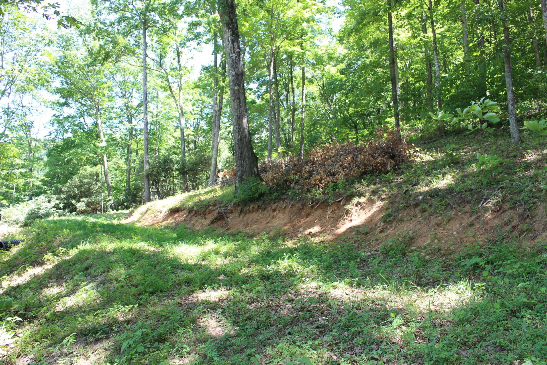 Image number 7 for the current listing