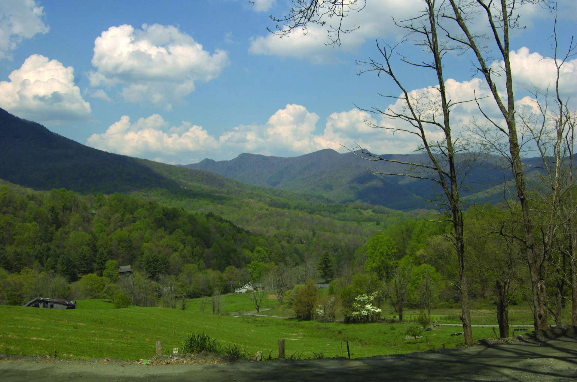 Image number 2 for the current listing