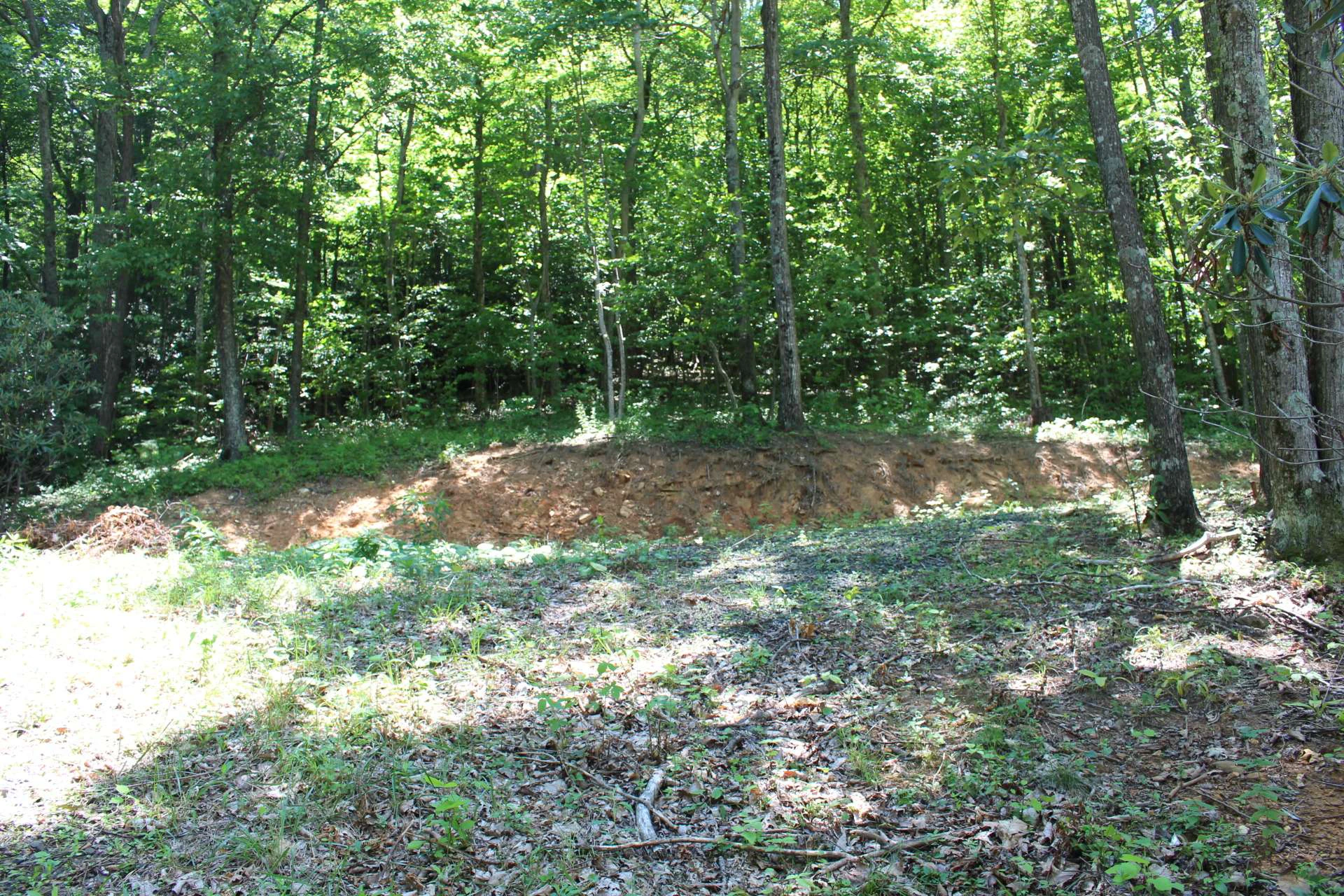 Image number 6 for the current listing