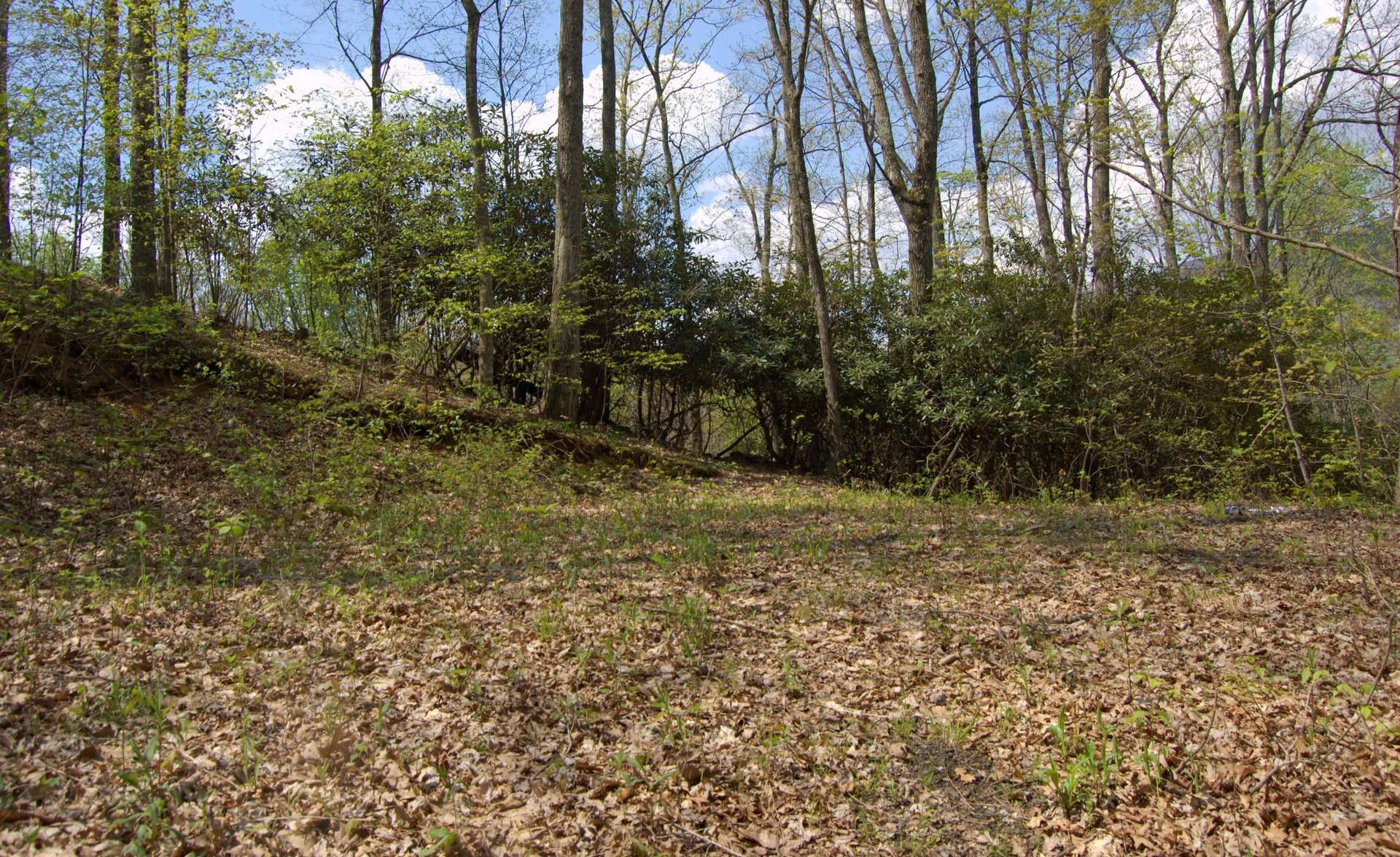 Image number 3 for the current listing