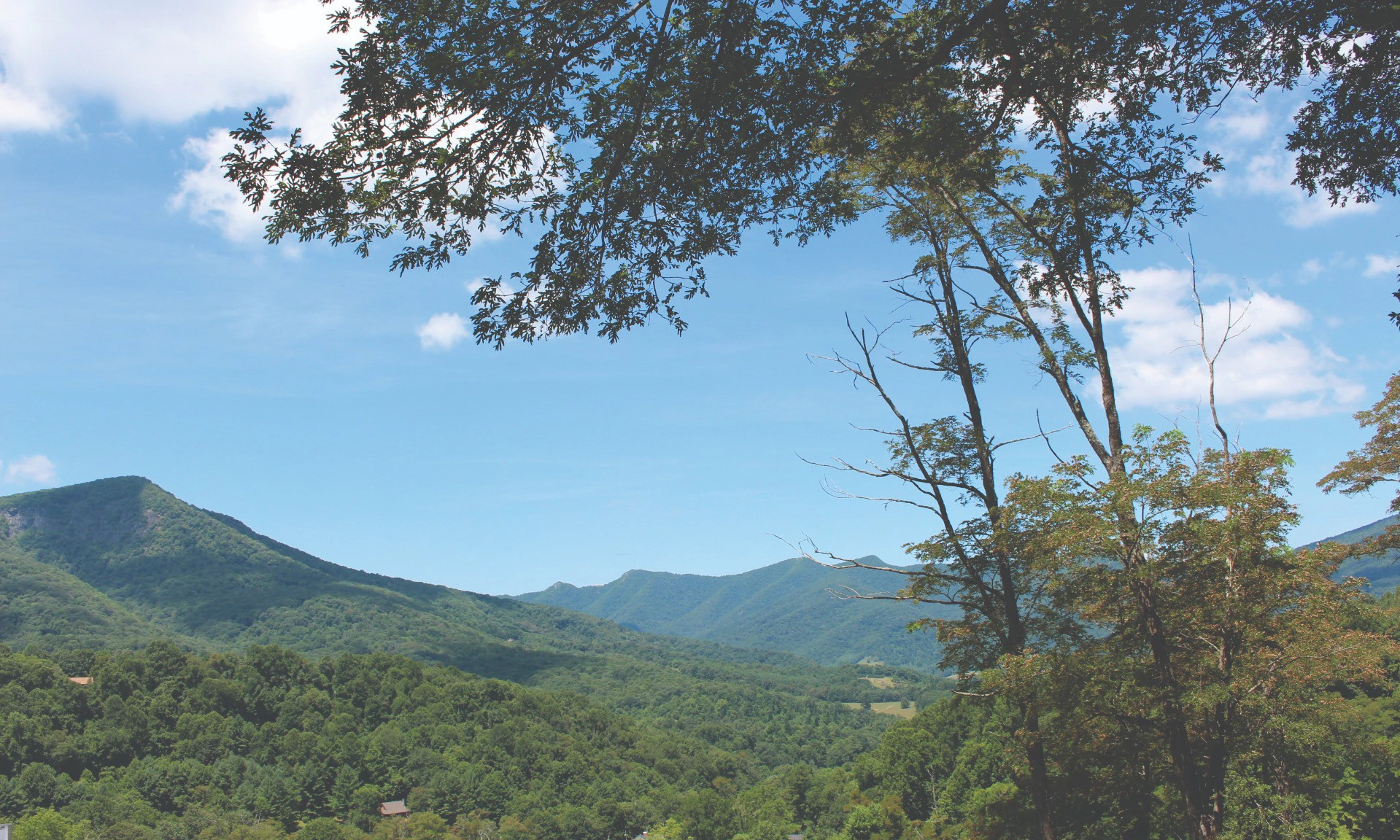 Image number 1 for the current listing