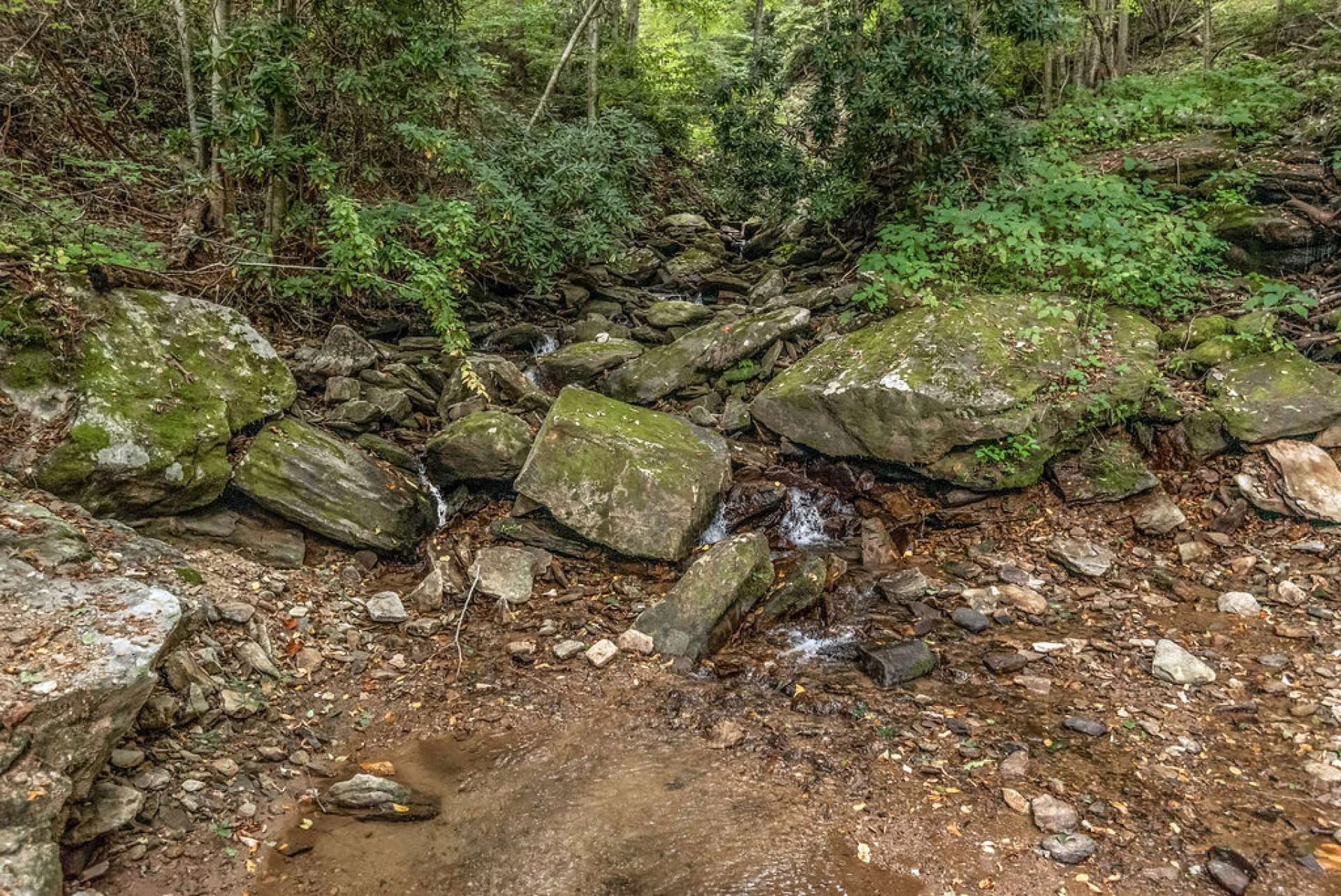 Image number 5 for the current listing