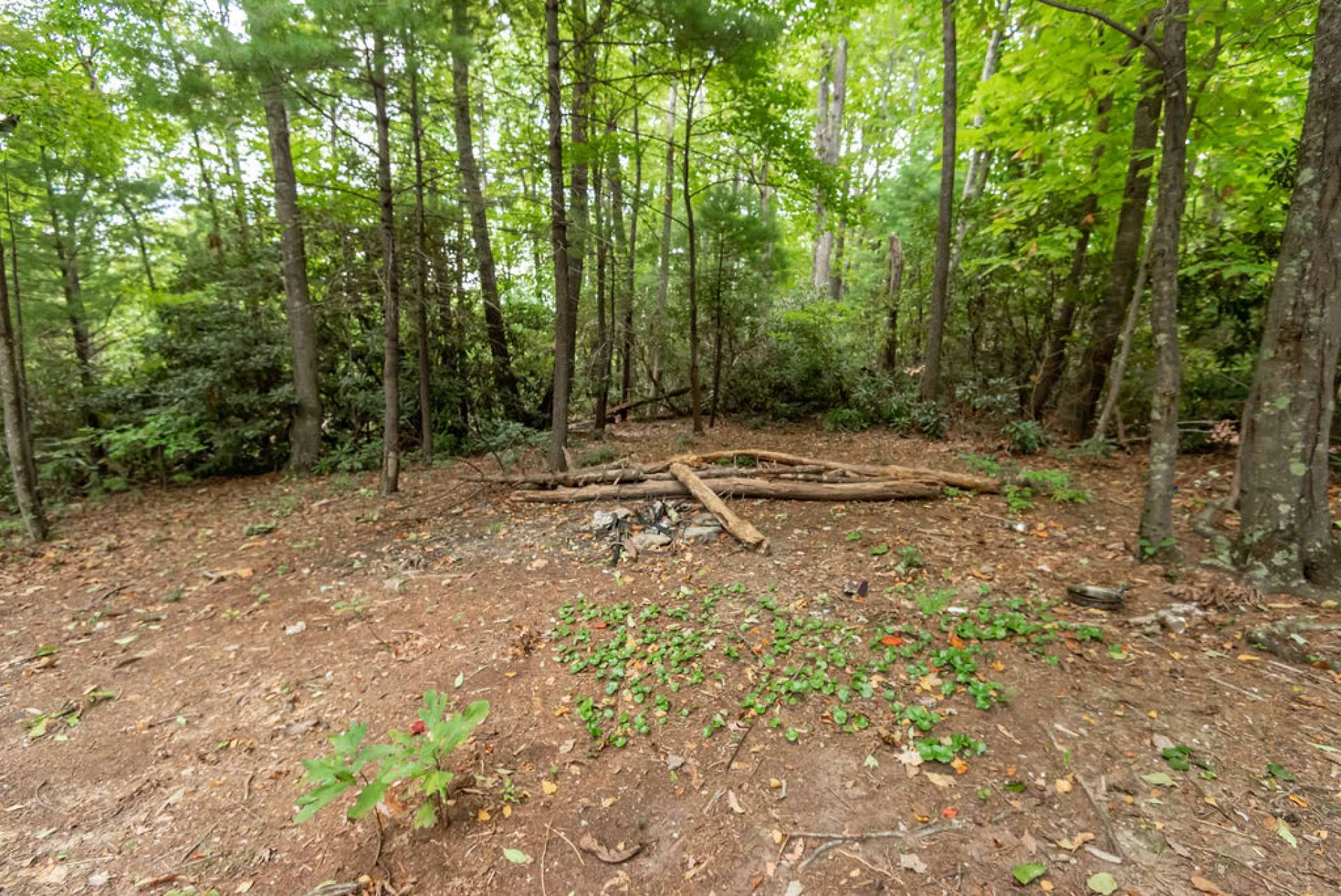 Image number 7 for the current listing