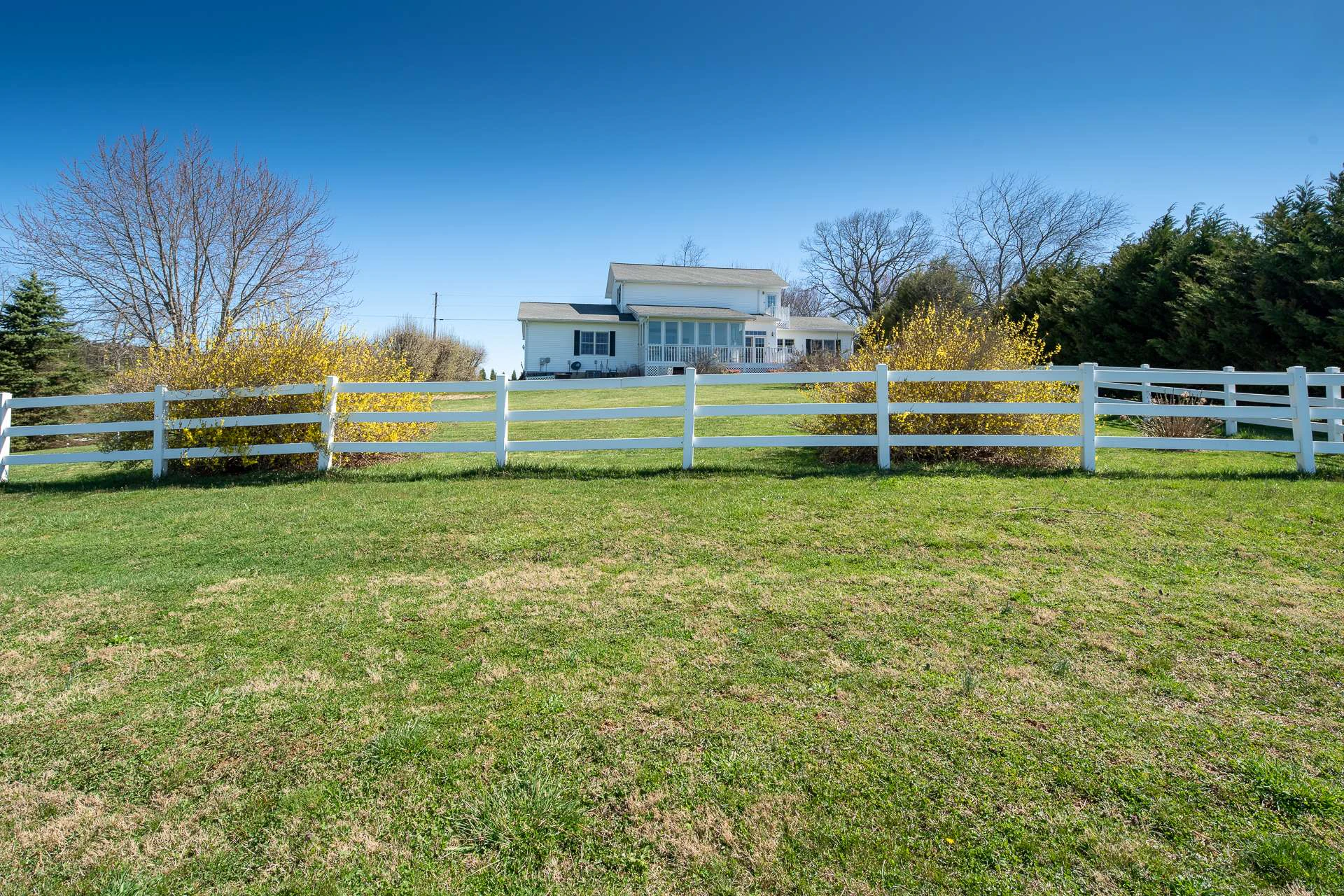 Image number 18 for the current listing
