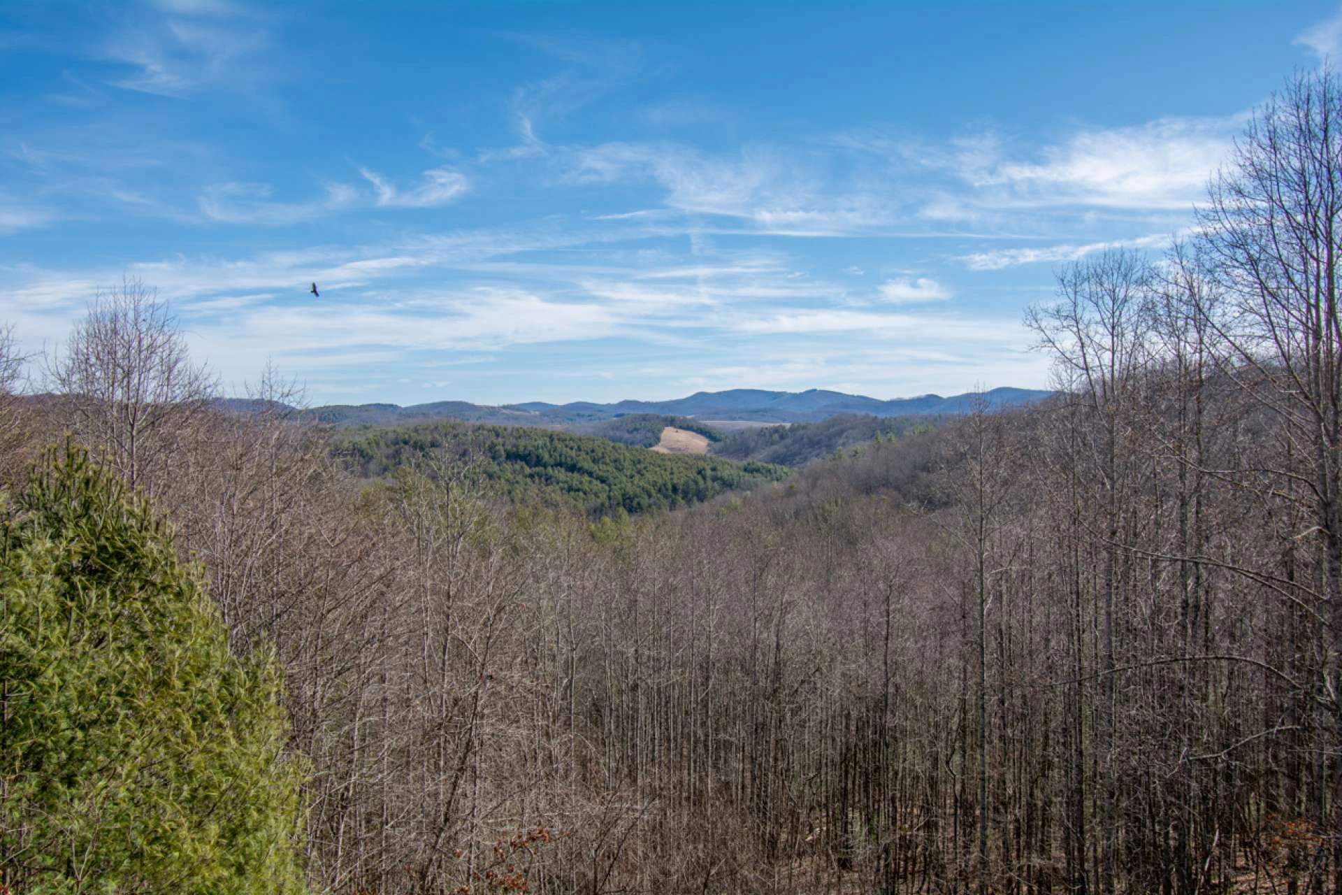 Image number 9 for the current listing