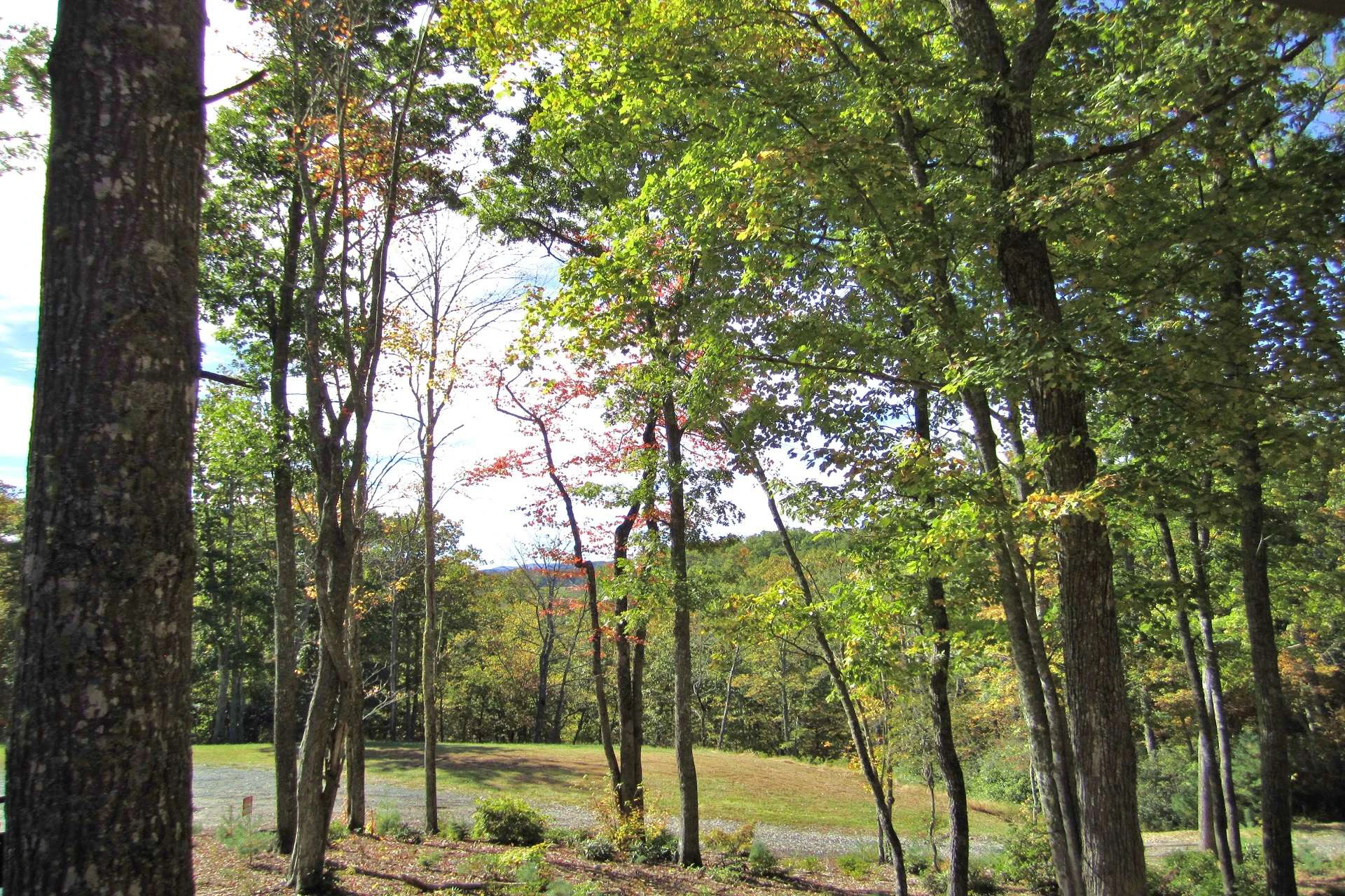 Image number 5 for the current listing