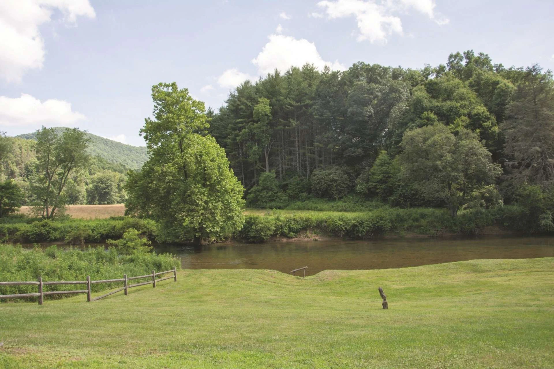 Image number 4 for the current listing