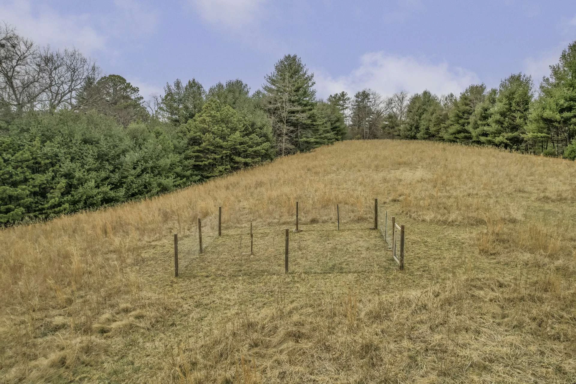 Image number 12 for the current listing