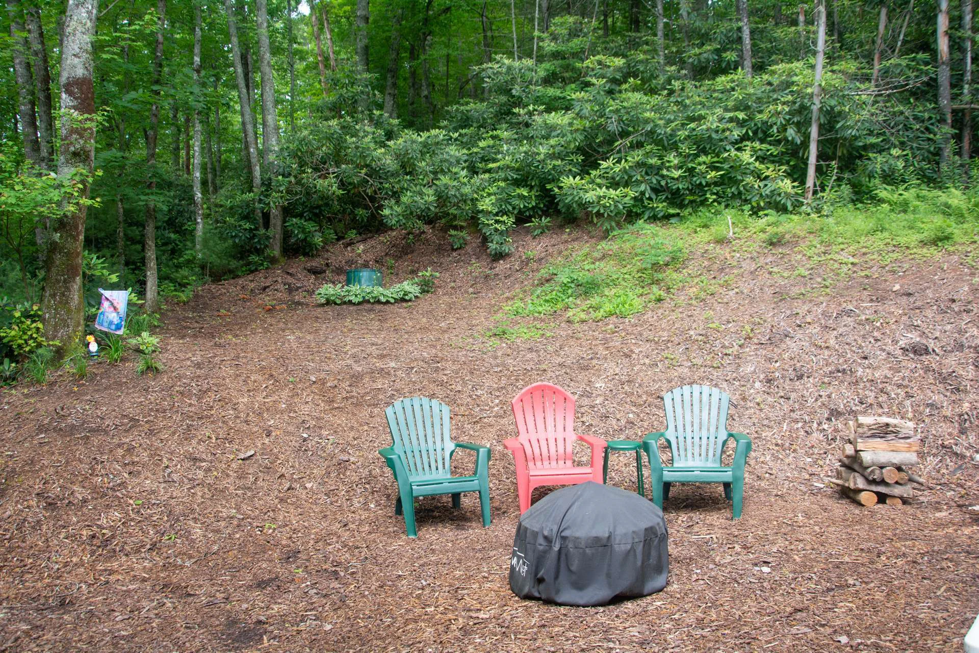 Image number 6 for the current listing