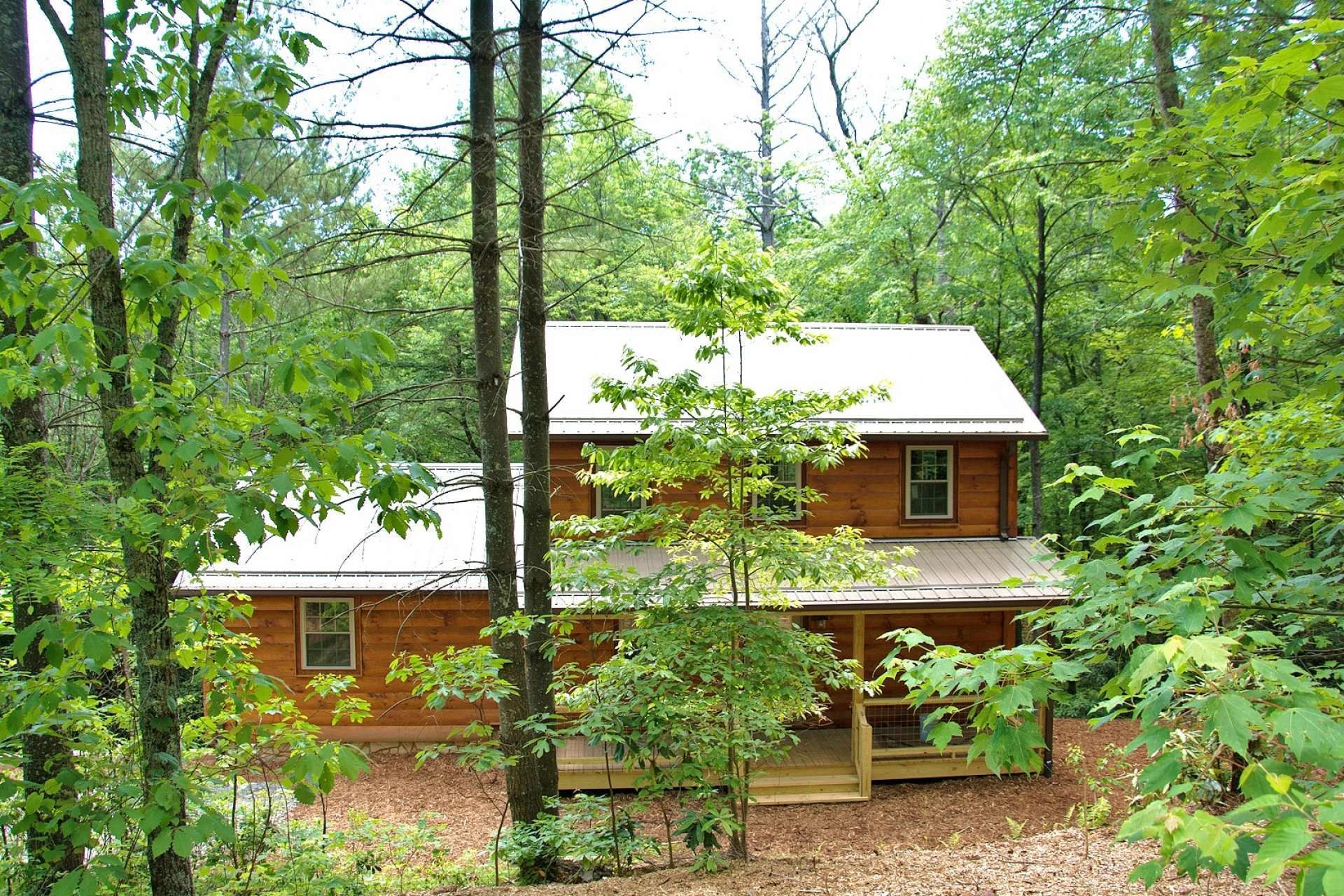 Image number 3 for the current listing