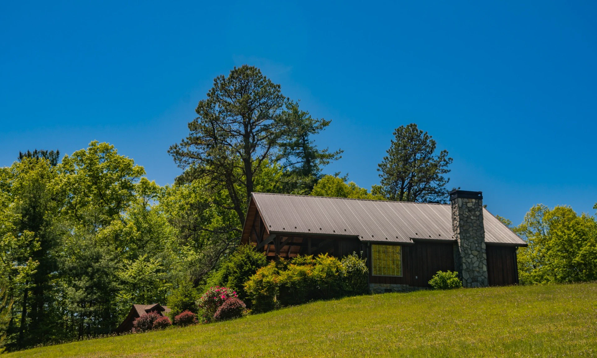 Image number 1 for the current listing