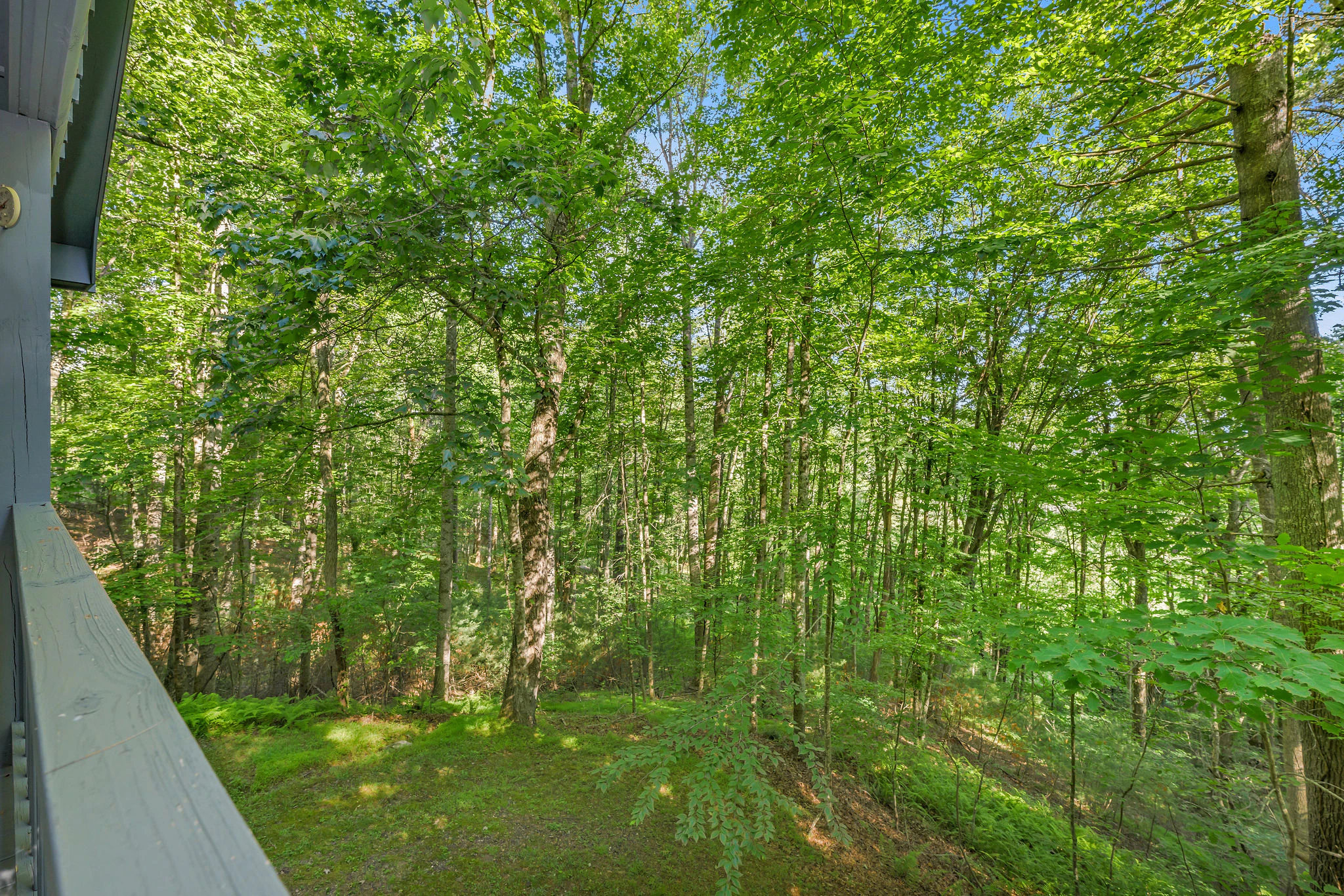 Image number 14 for the current listing