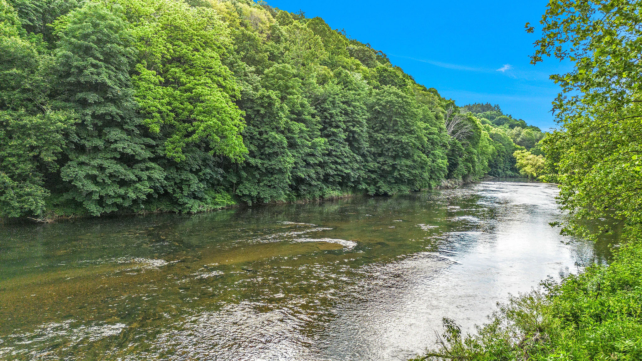 Image number 5 for the current listing