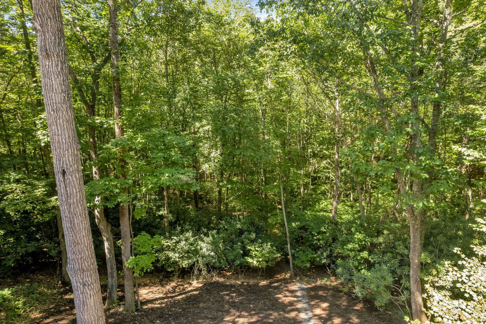 Image number 20 for the current listing