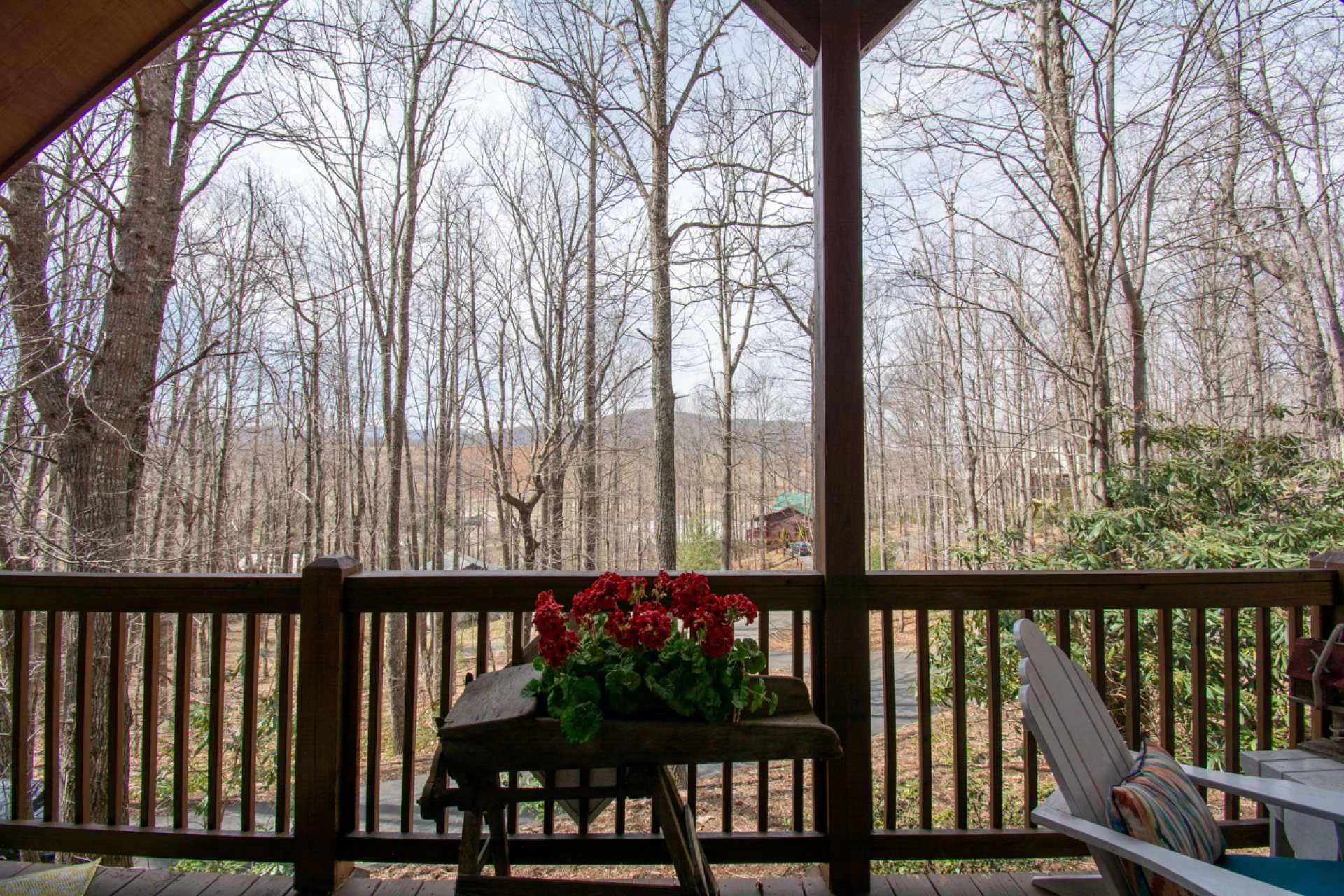 Image number 7 for the current listing