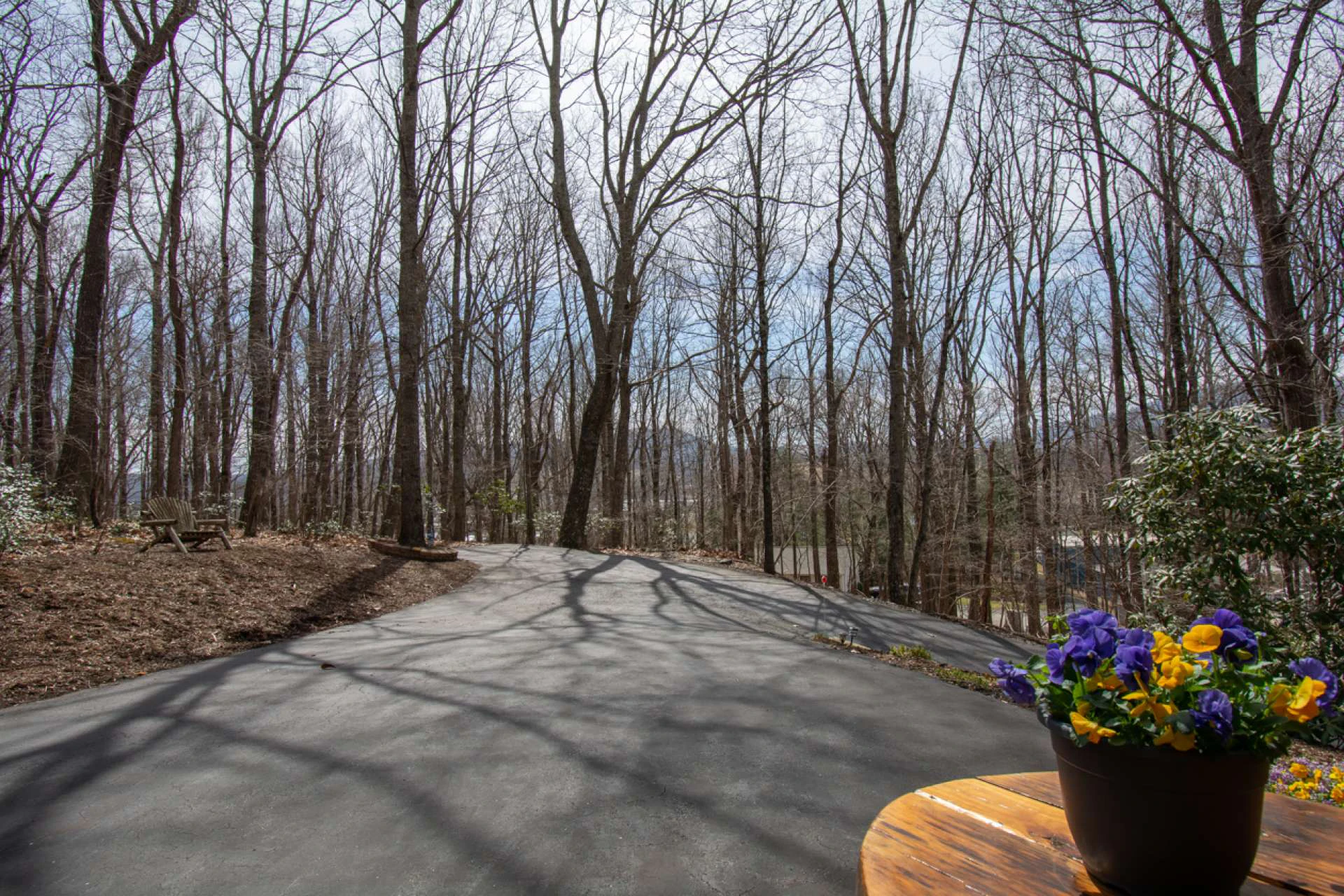 Image number 4 for the current listing