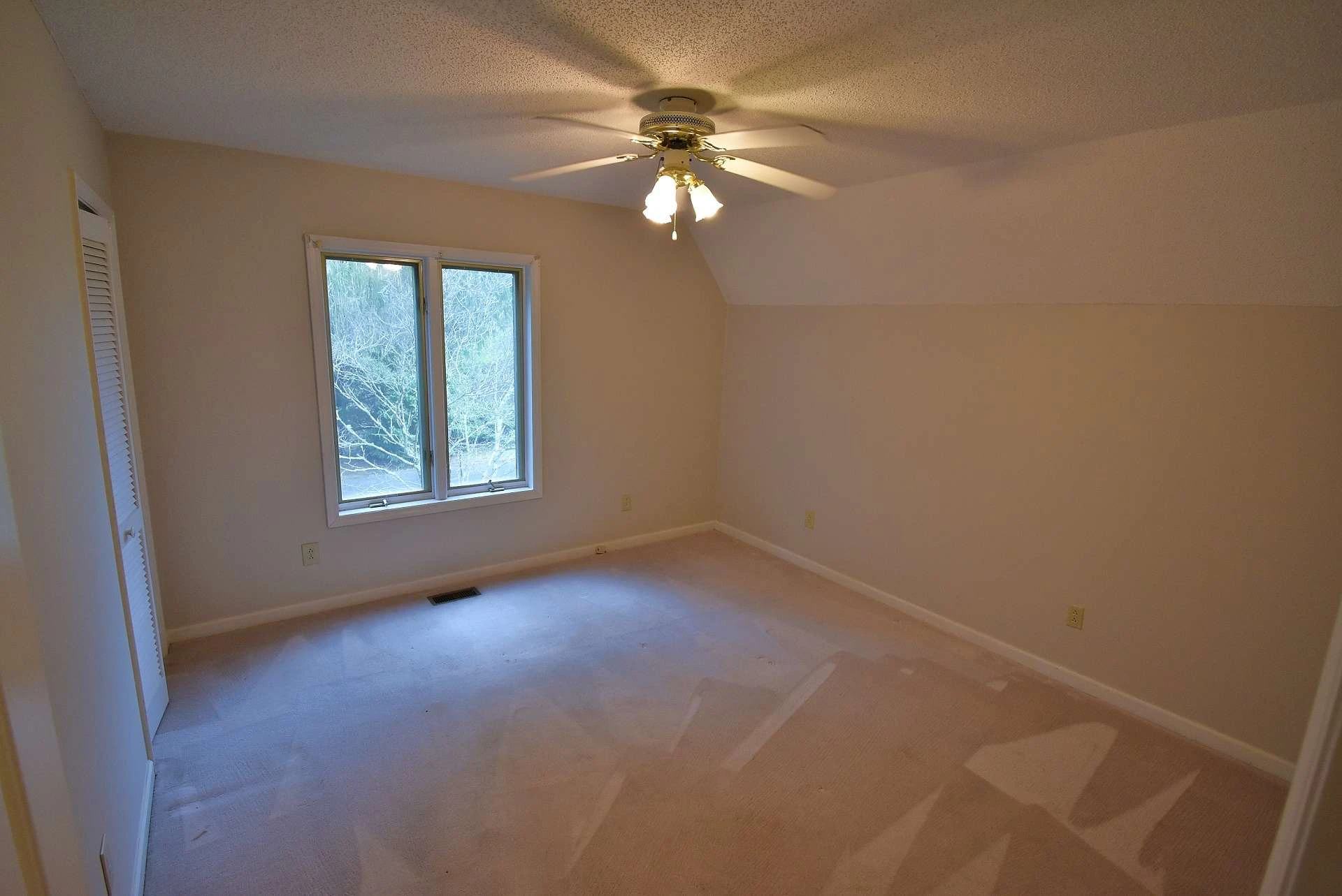 Image number 12 for the current listing