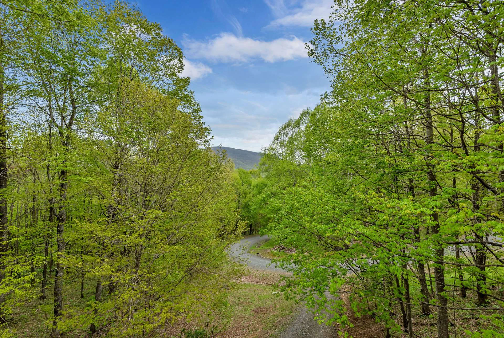 Image number 10 for the current listing