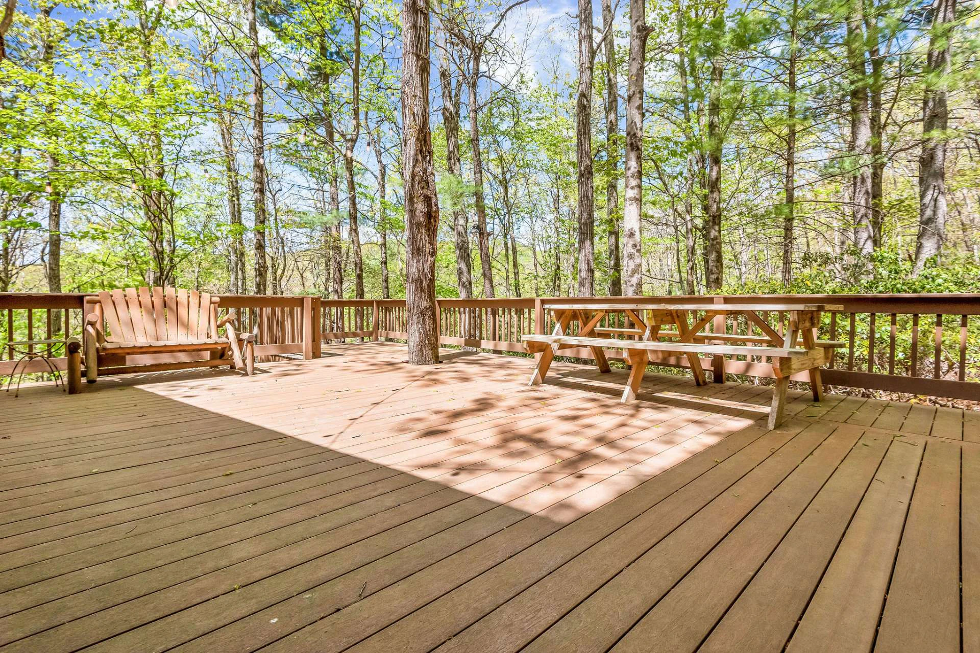 Image number 15 for the current listing