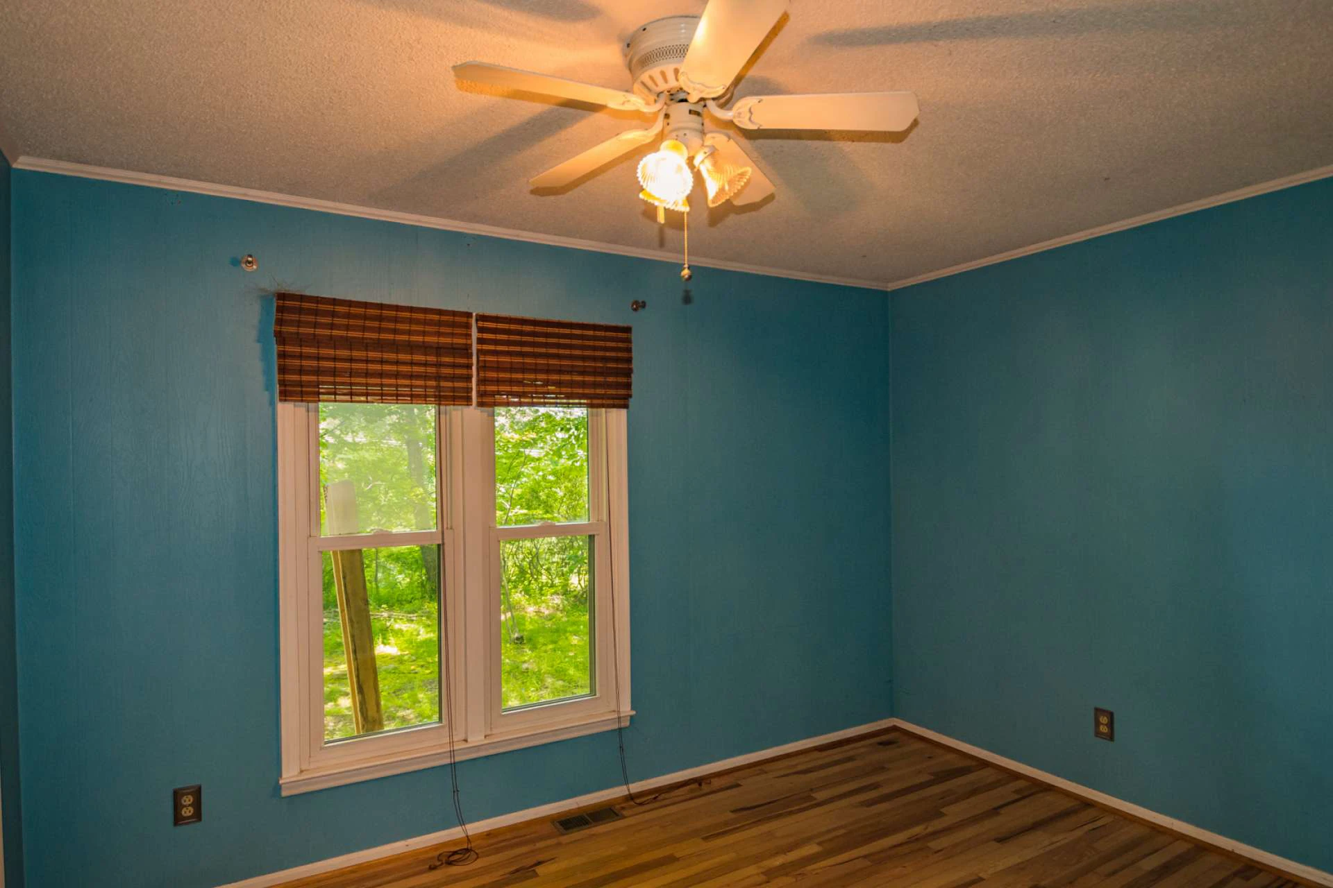 Image number 6 for the current listing