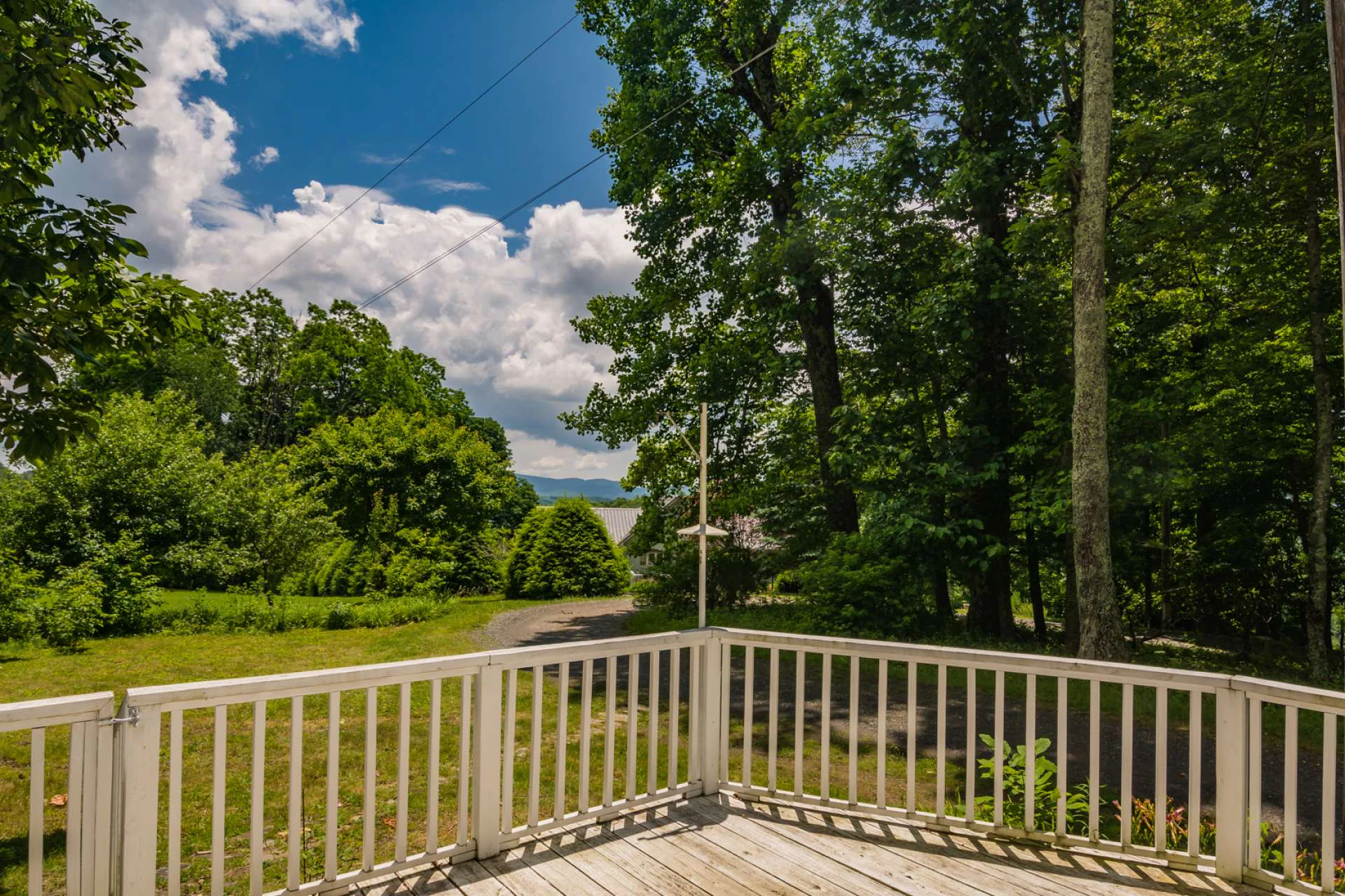 Image number 17 for the current listing