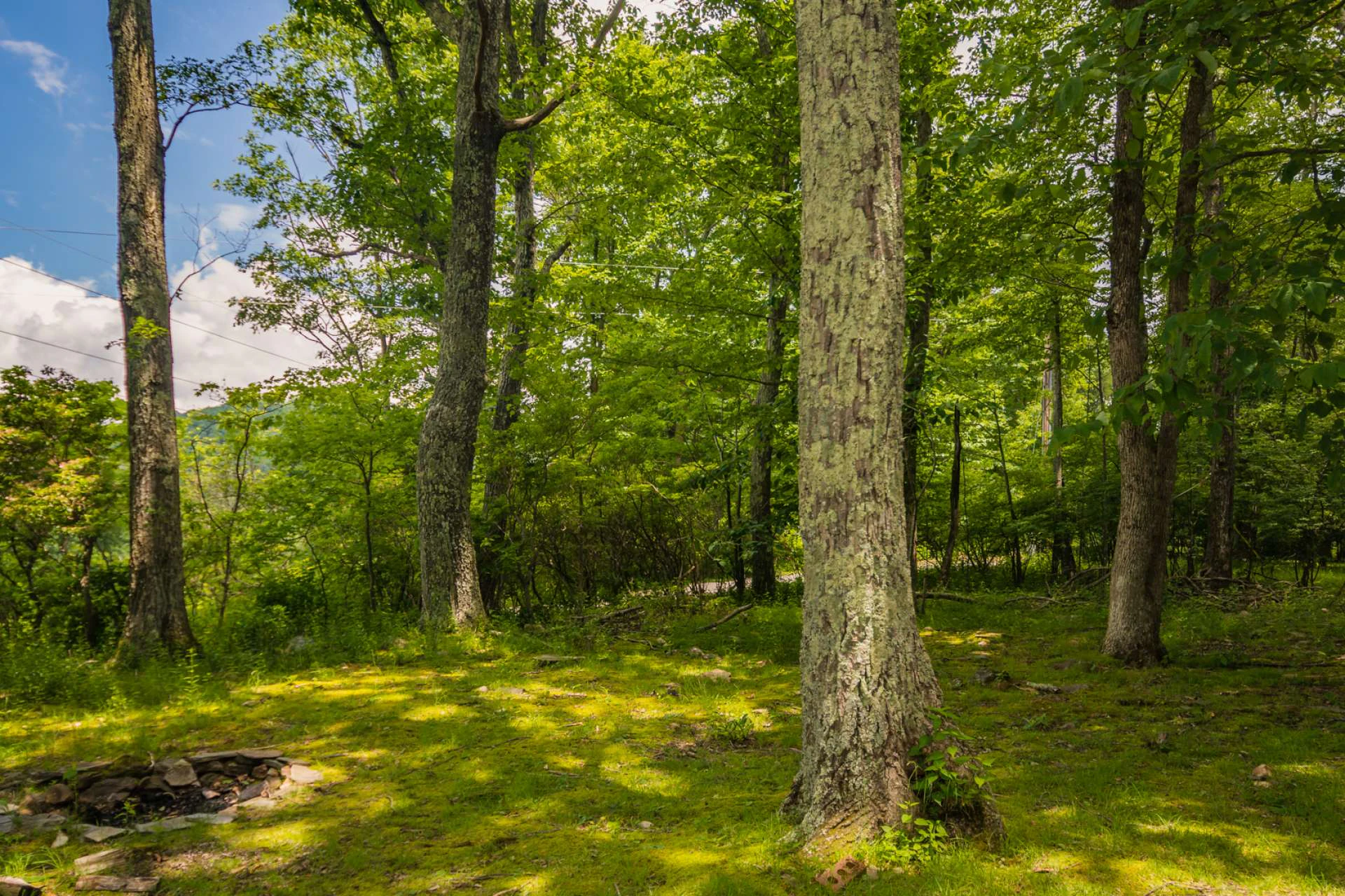Image number 2 for the current listing