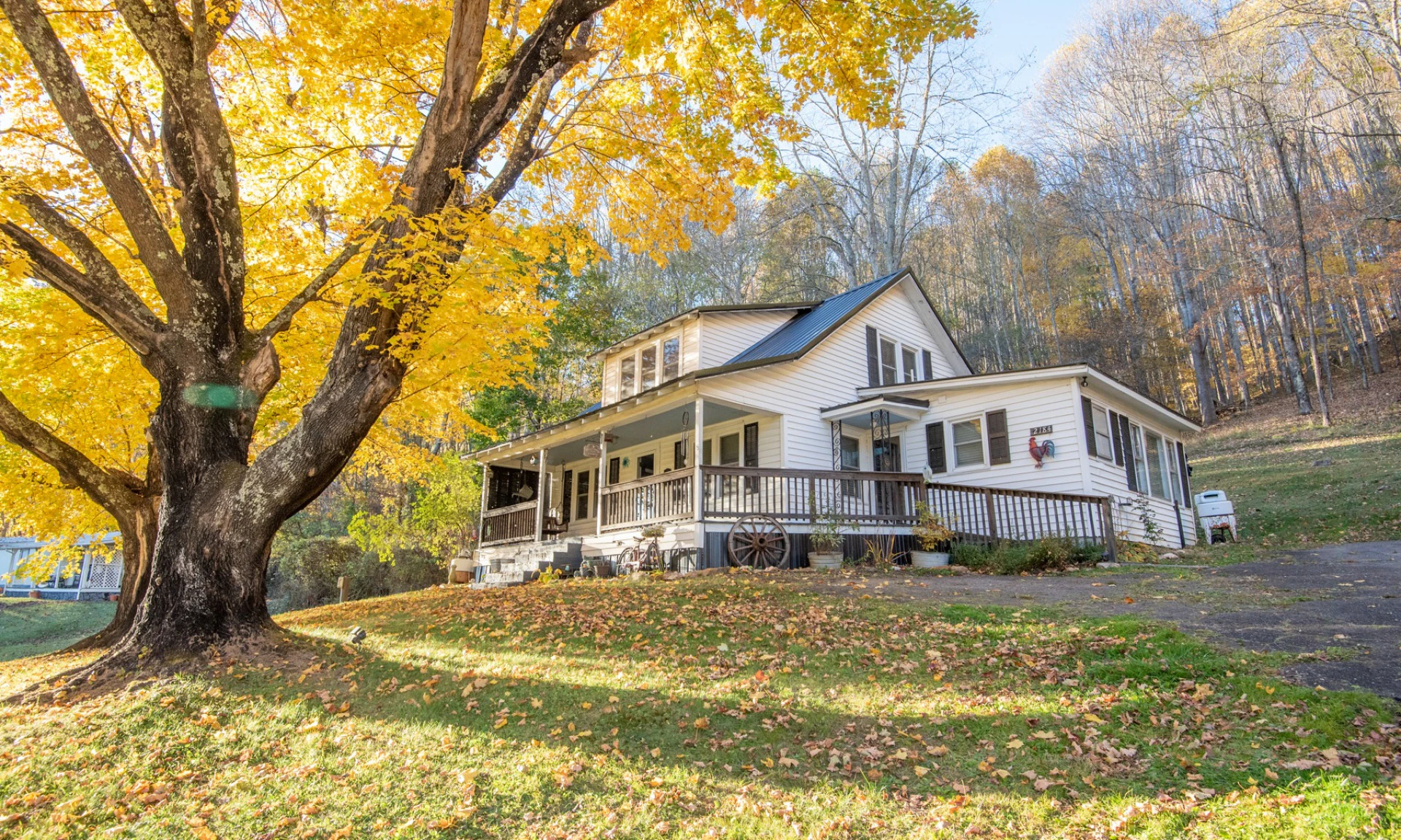 Image number 1 for the current listing