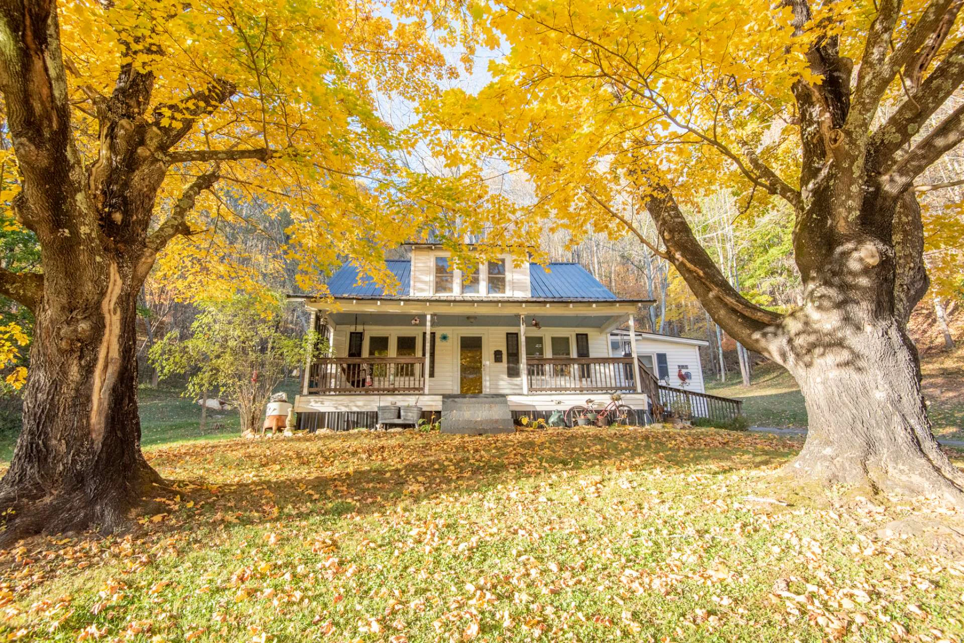 Image number 19 for the current listing