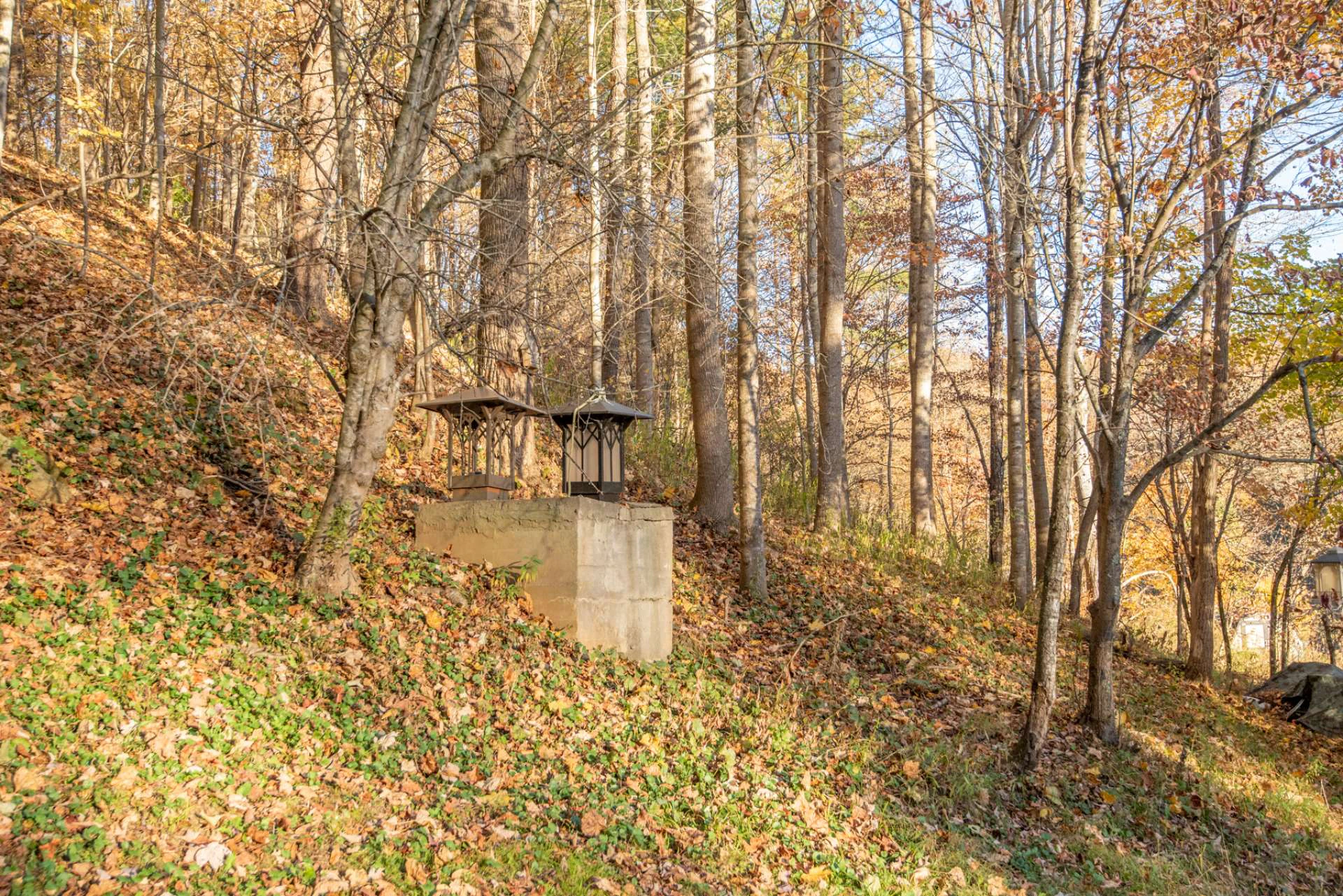Image number 18 for the current listing