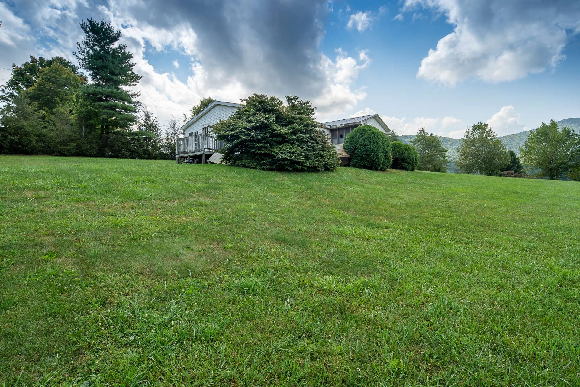 Image number 17 for the current listing