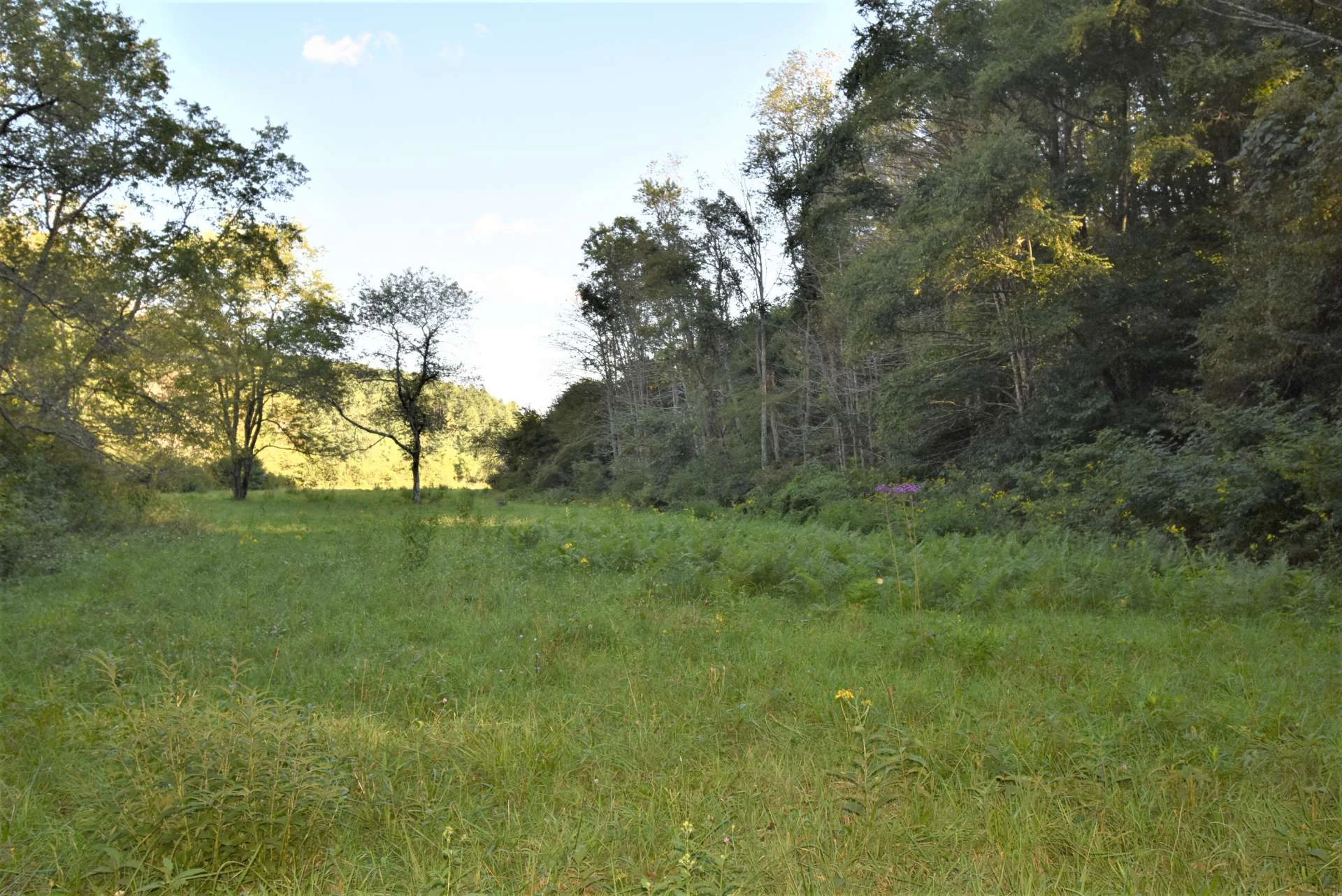 Image number 19 for the current listing