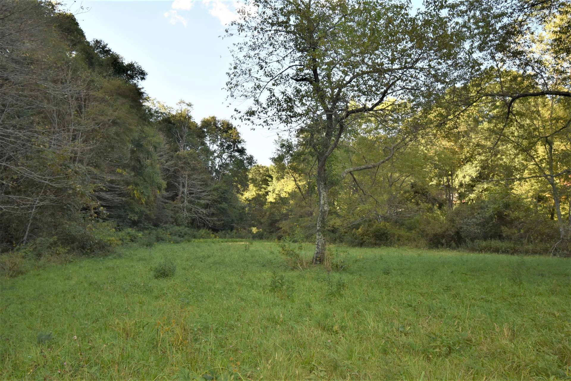 Image number 13 for the current listing
