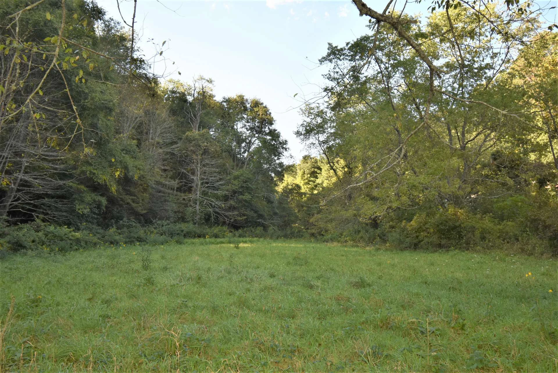 Image number 11 for the current listing