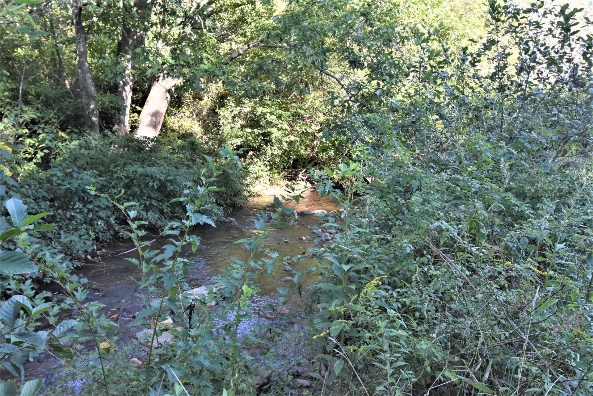 Image number 9 for the current listing