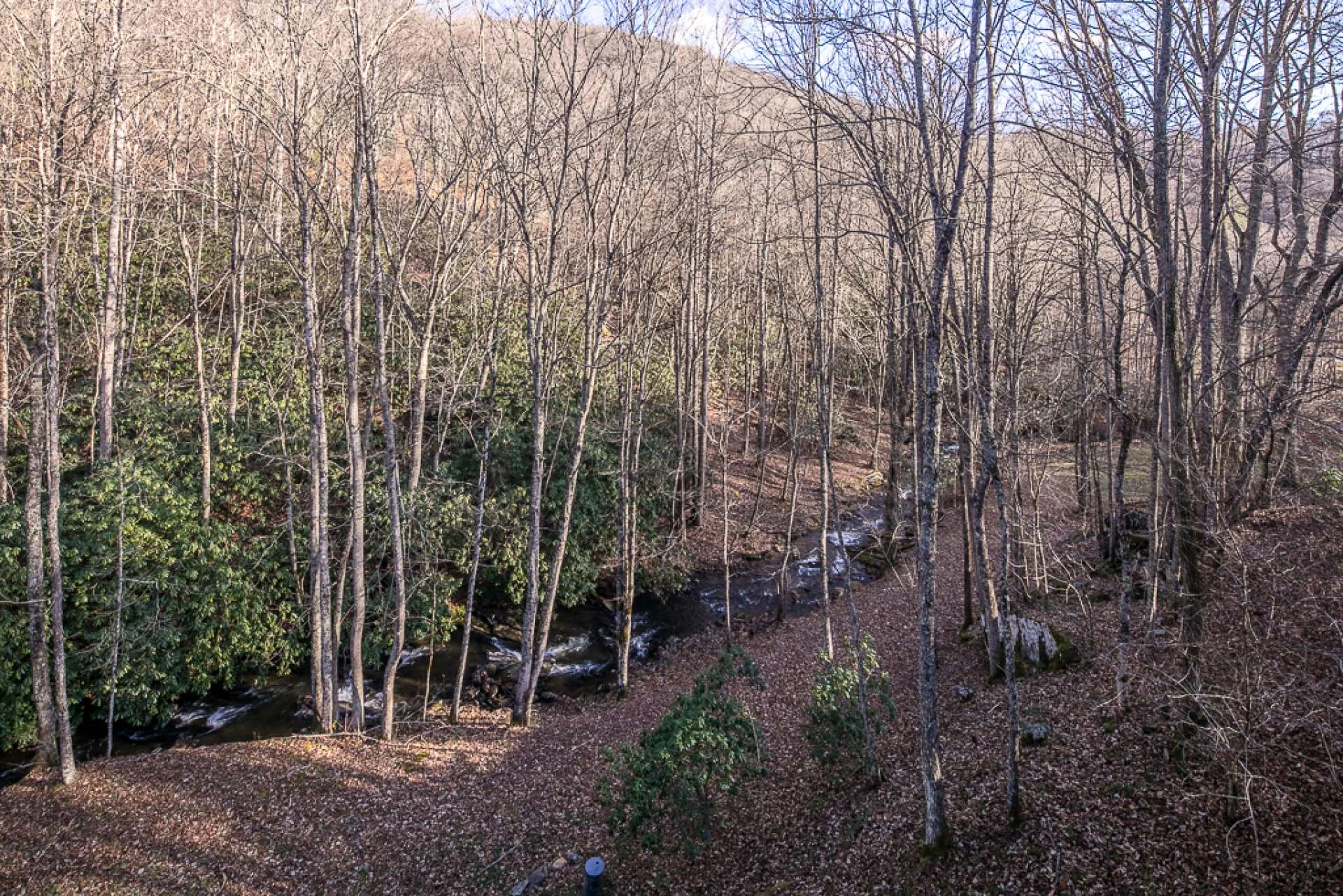 Image number 11 for the current listing